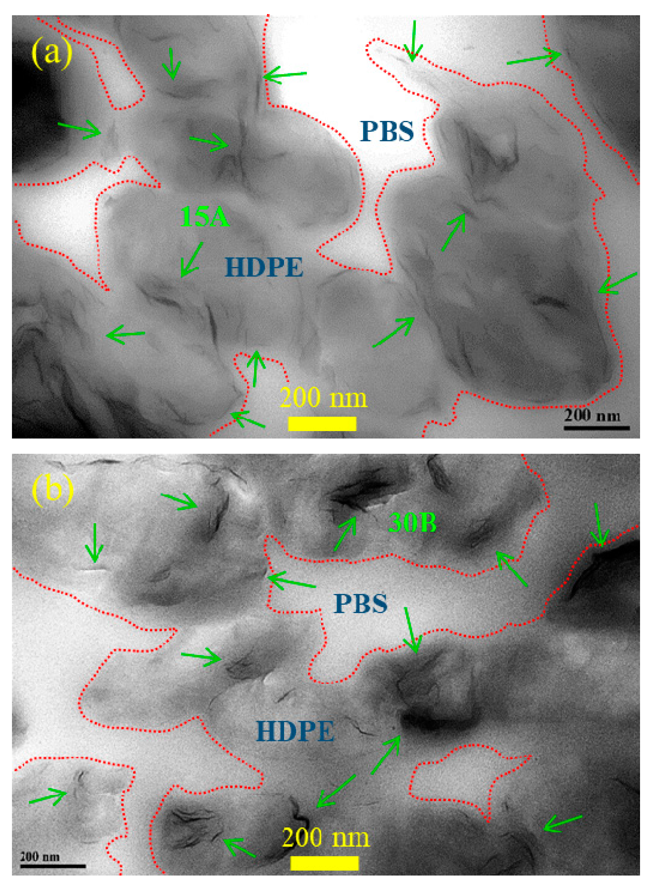 Preprints 88072 g002