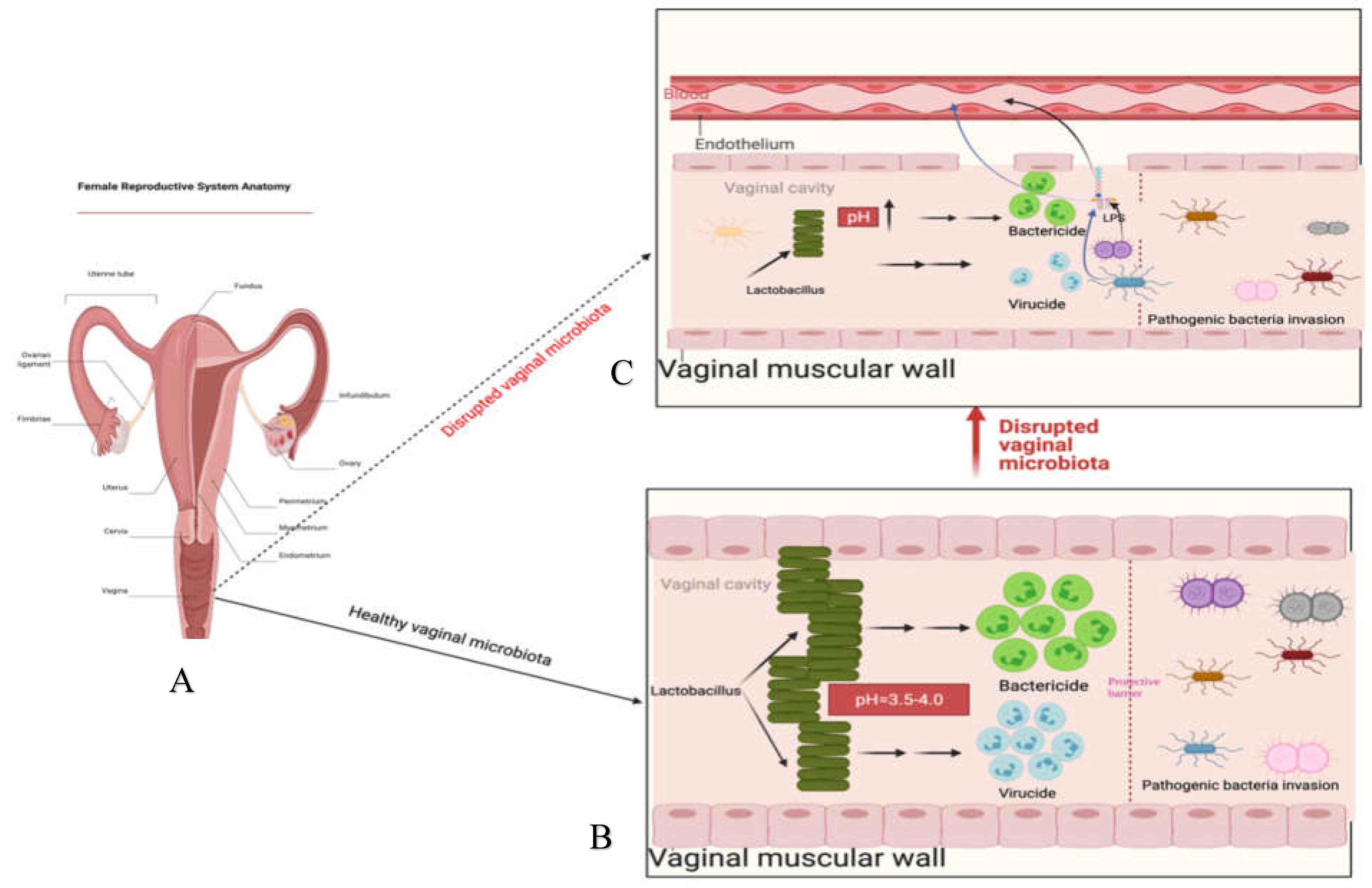 Preprints 72554 g001