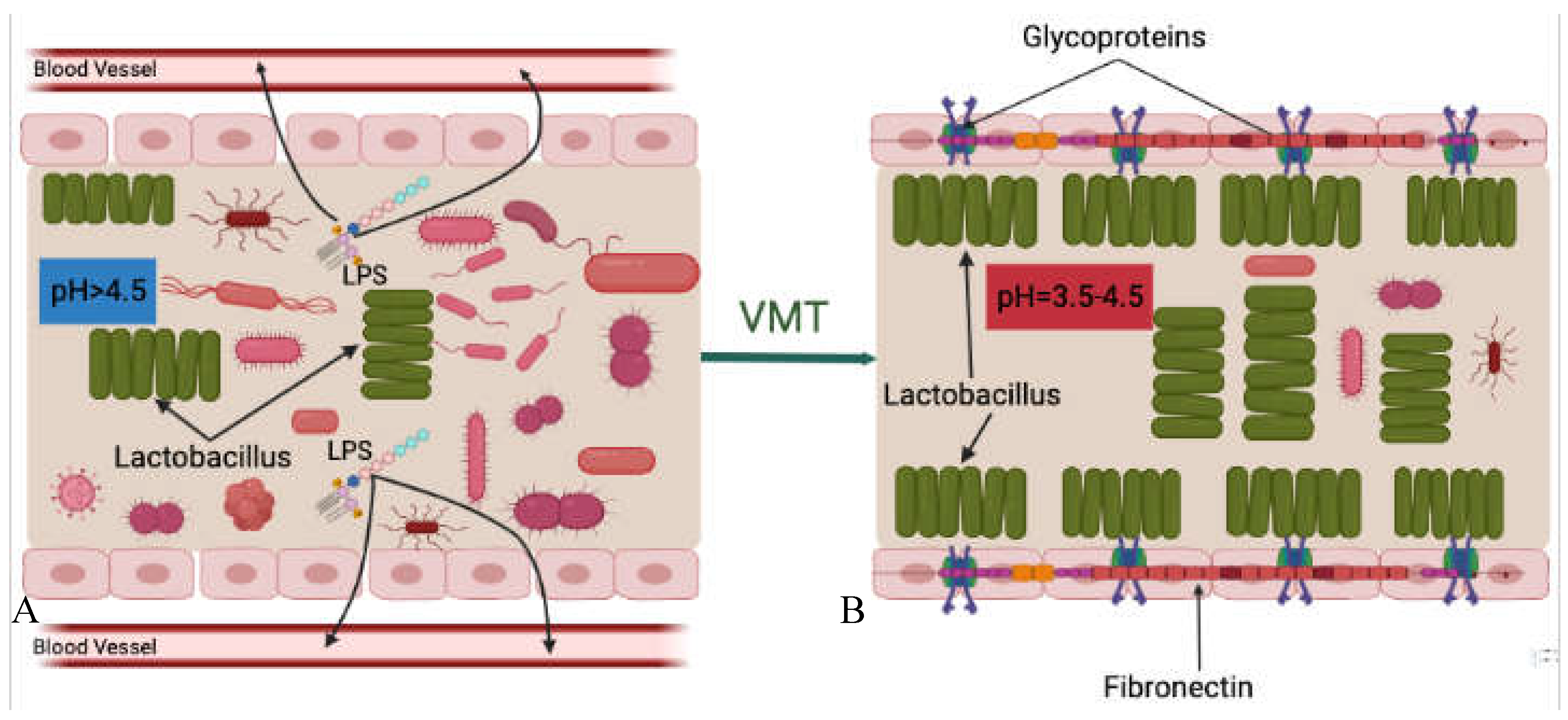 Preprints 72554 g006