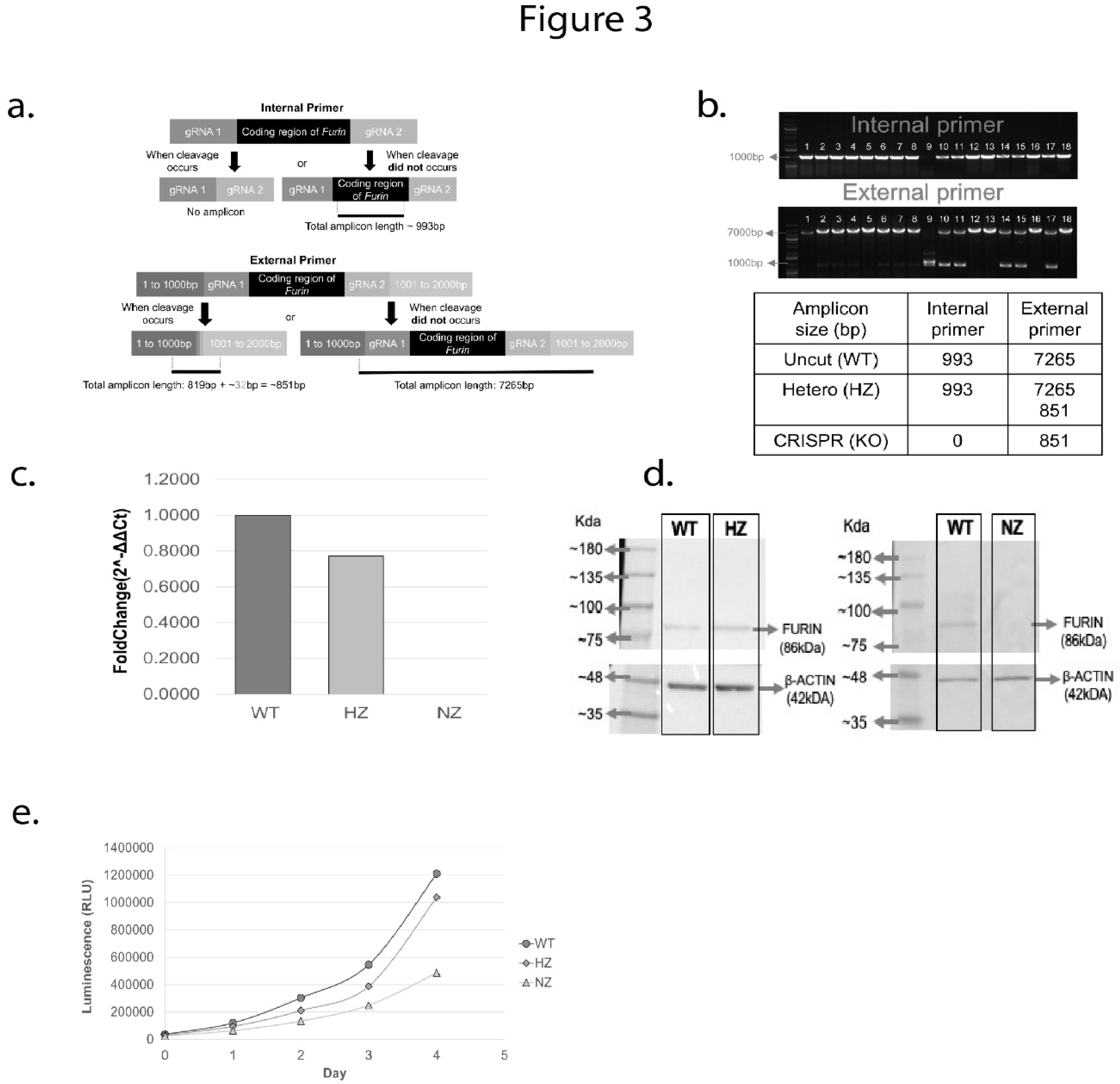 Preprints 92043 g003