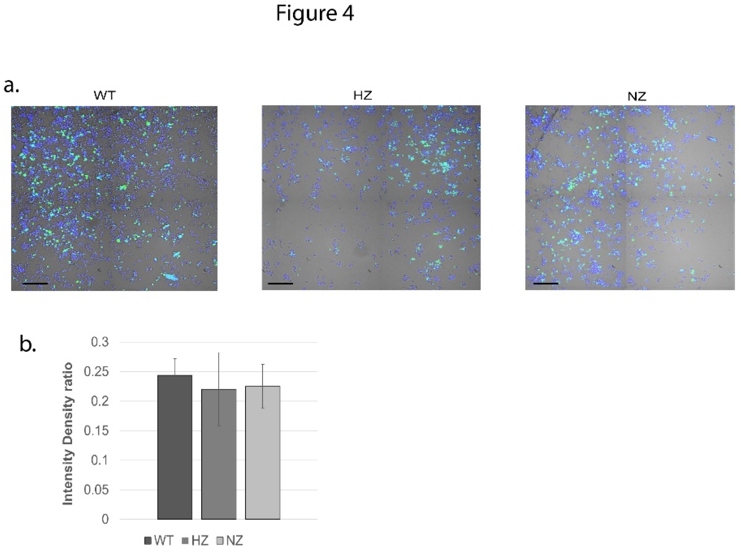 Preprints 92043 g004