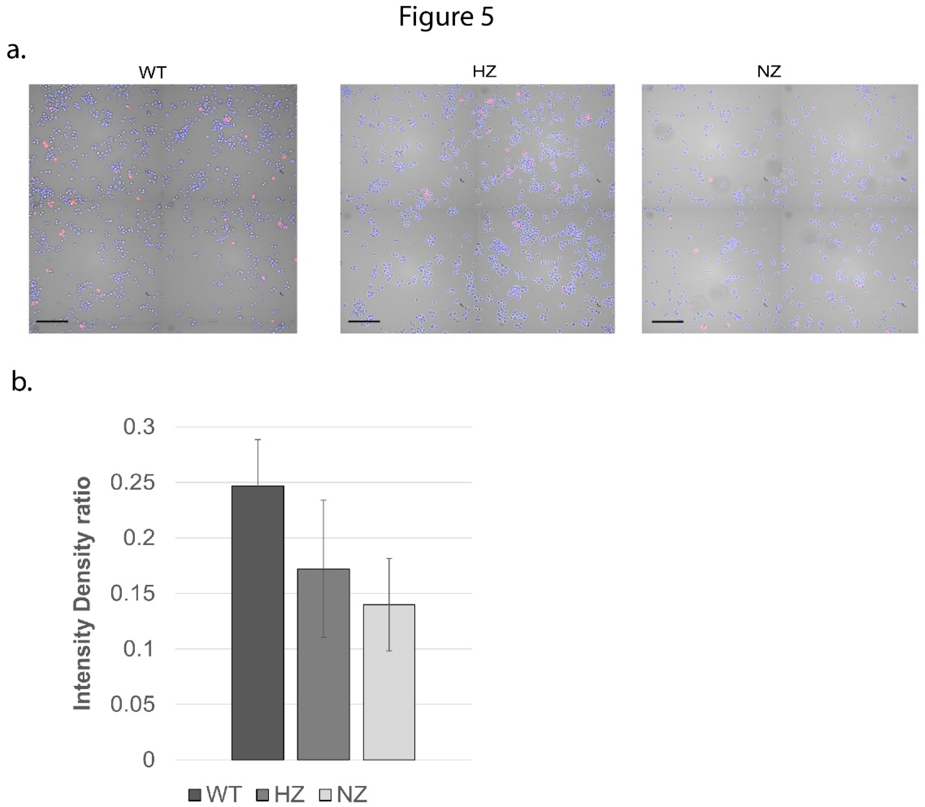 Preprints 92043 g005