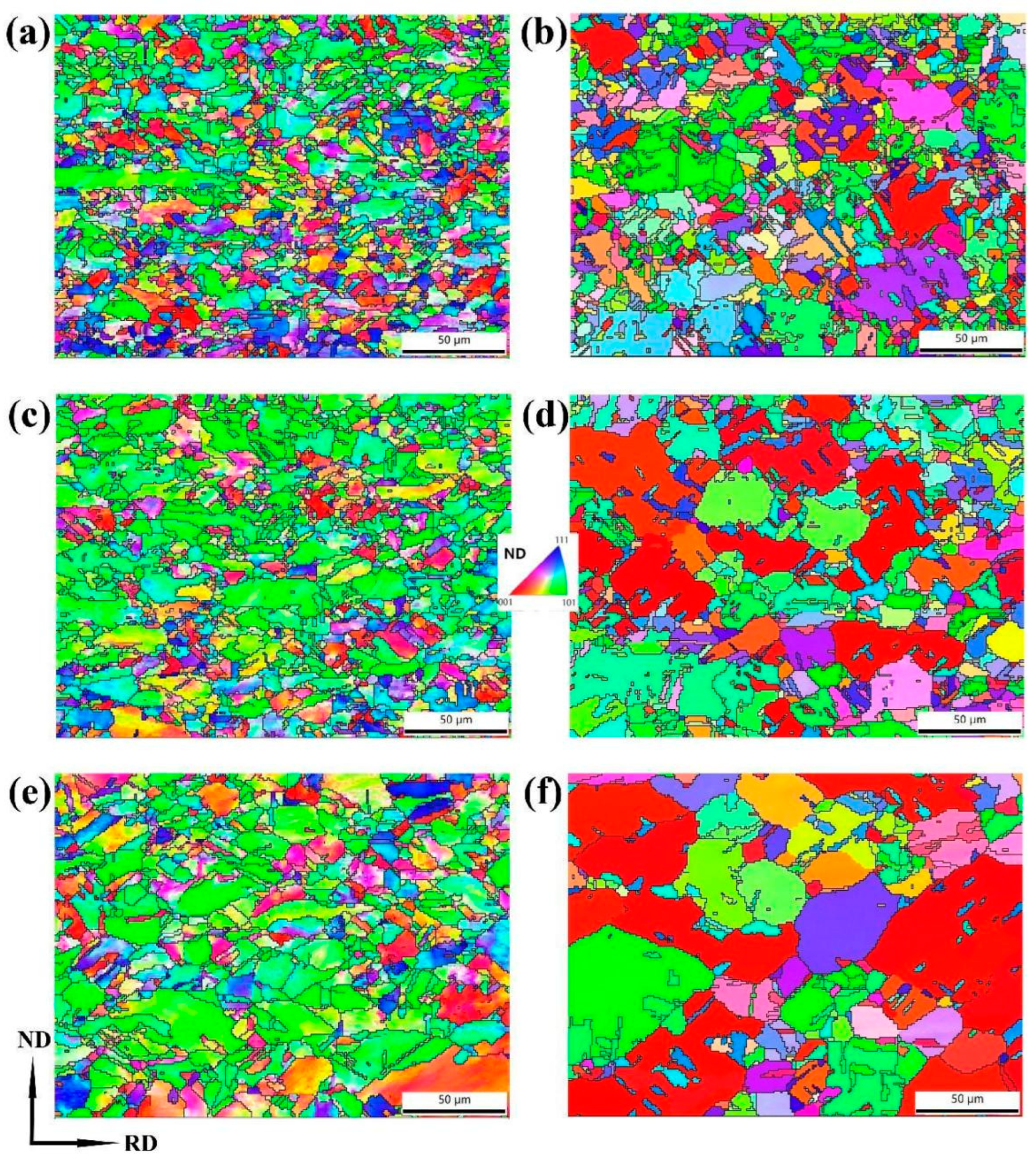 Preprints 104099 g006