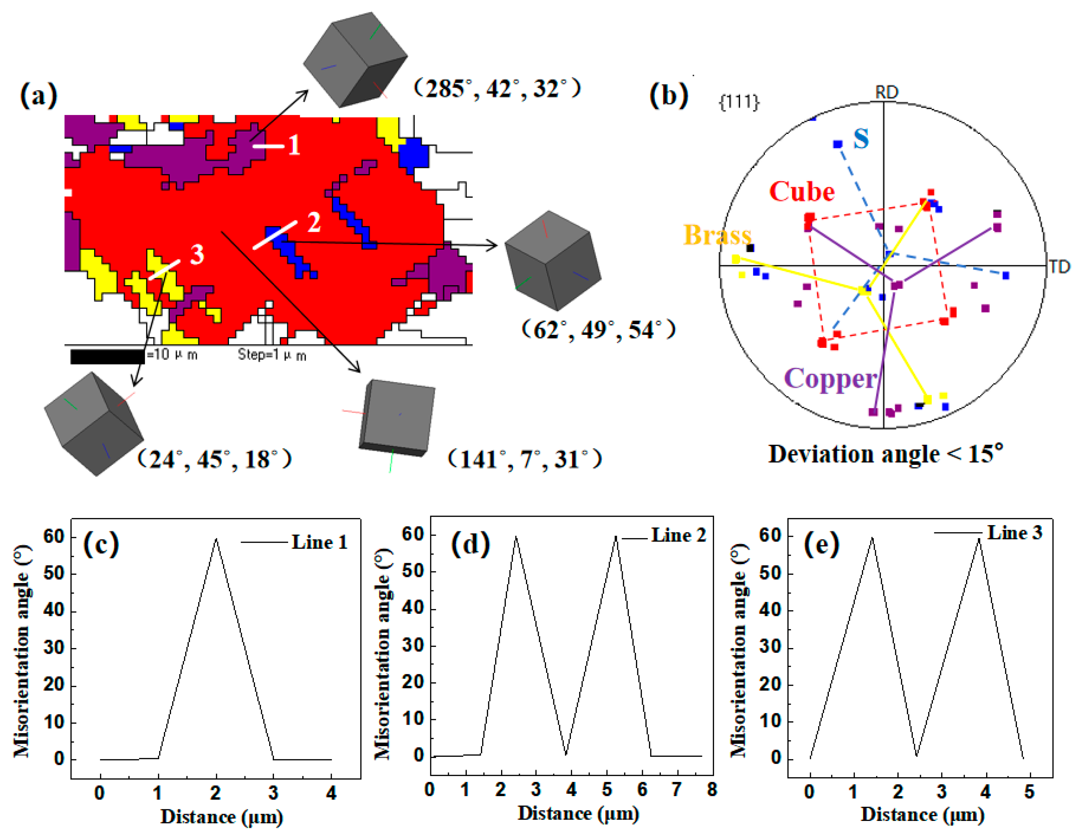 Preprints 104099 g012