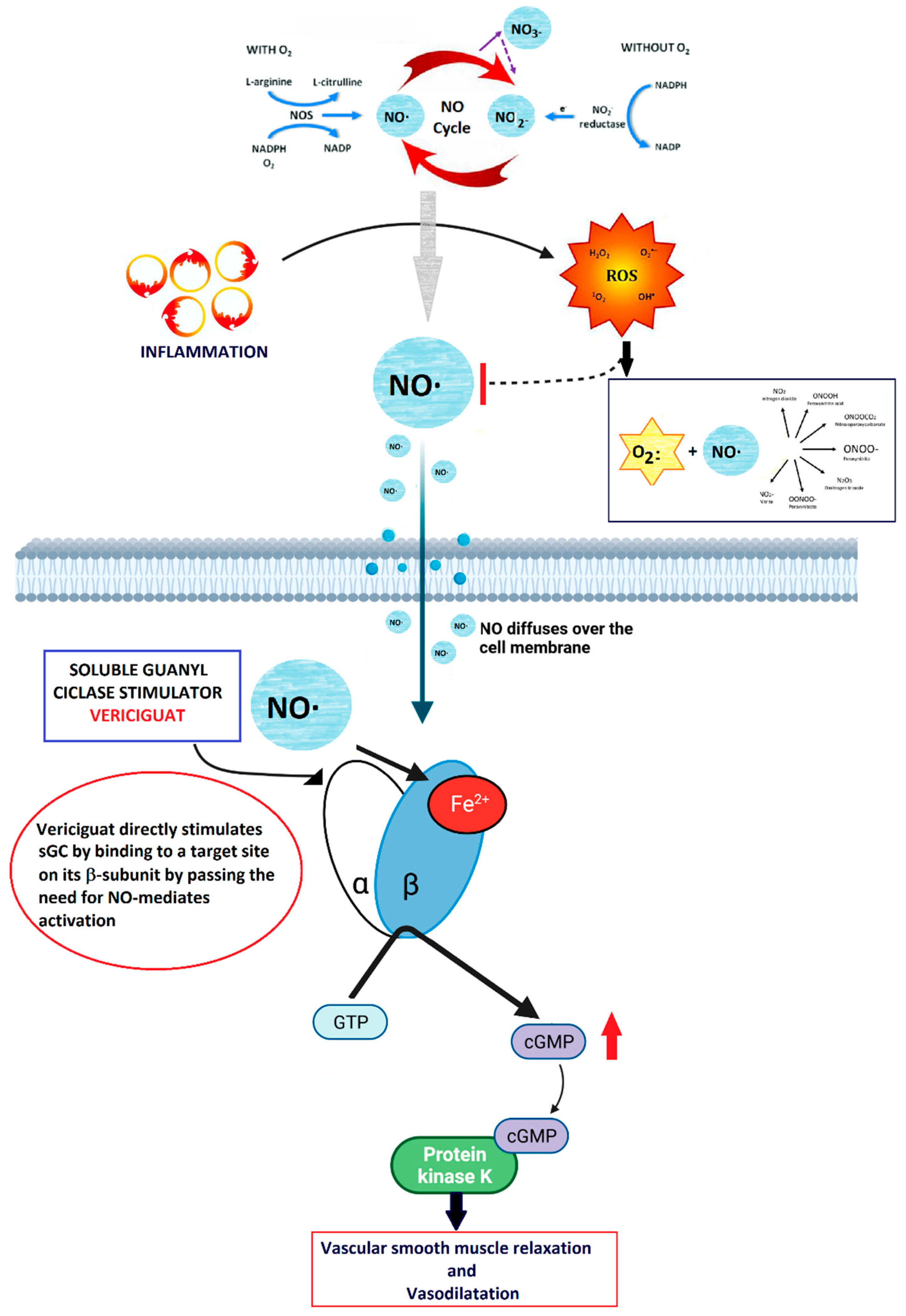 Preprints 110911 g006