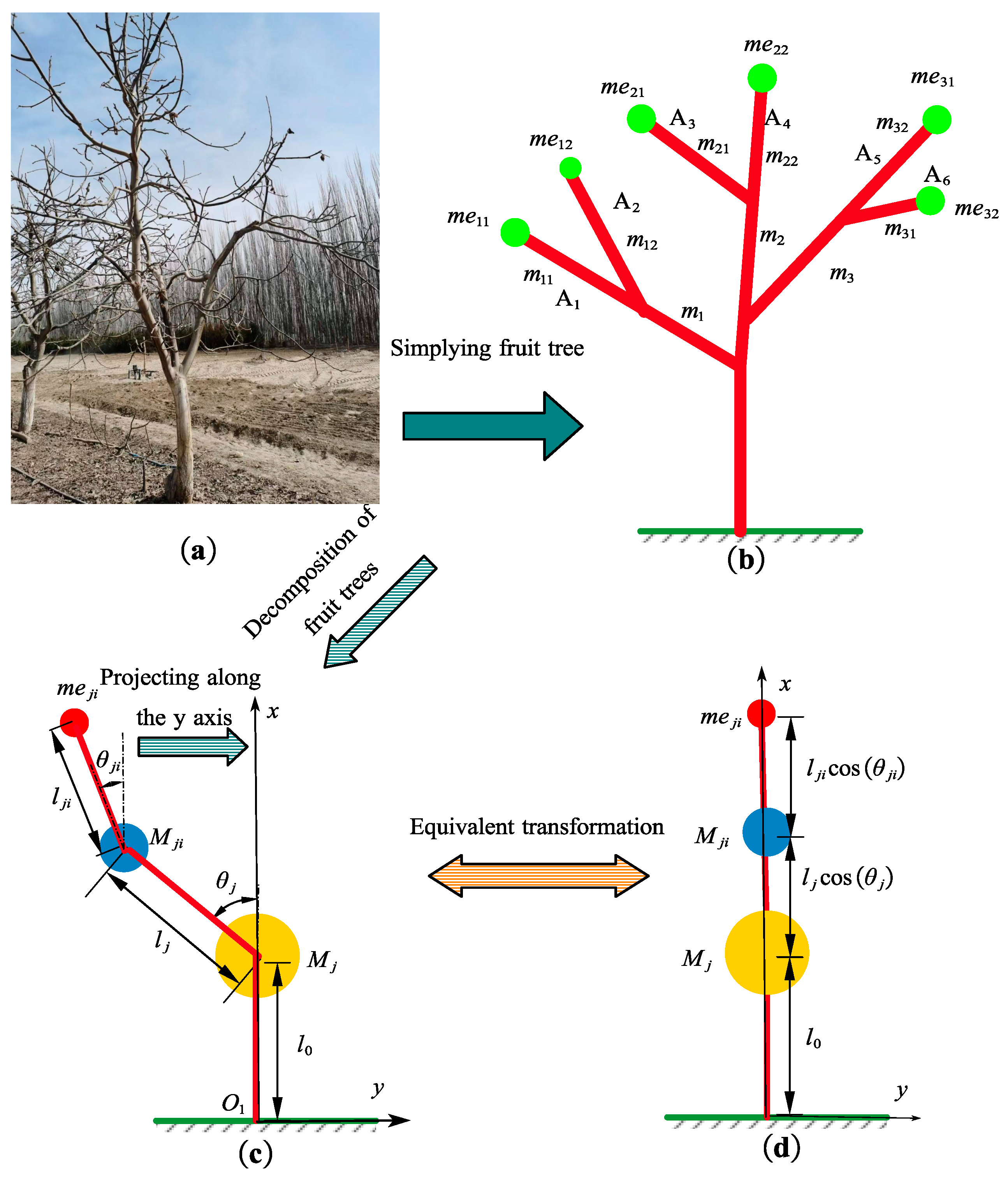 Preprints 92006 g001