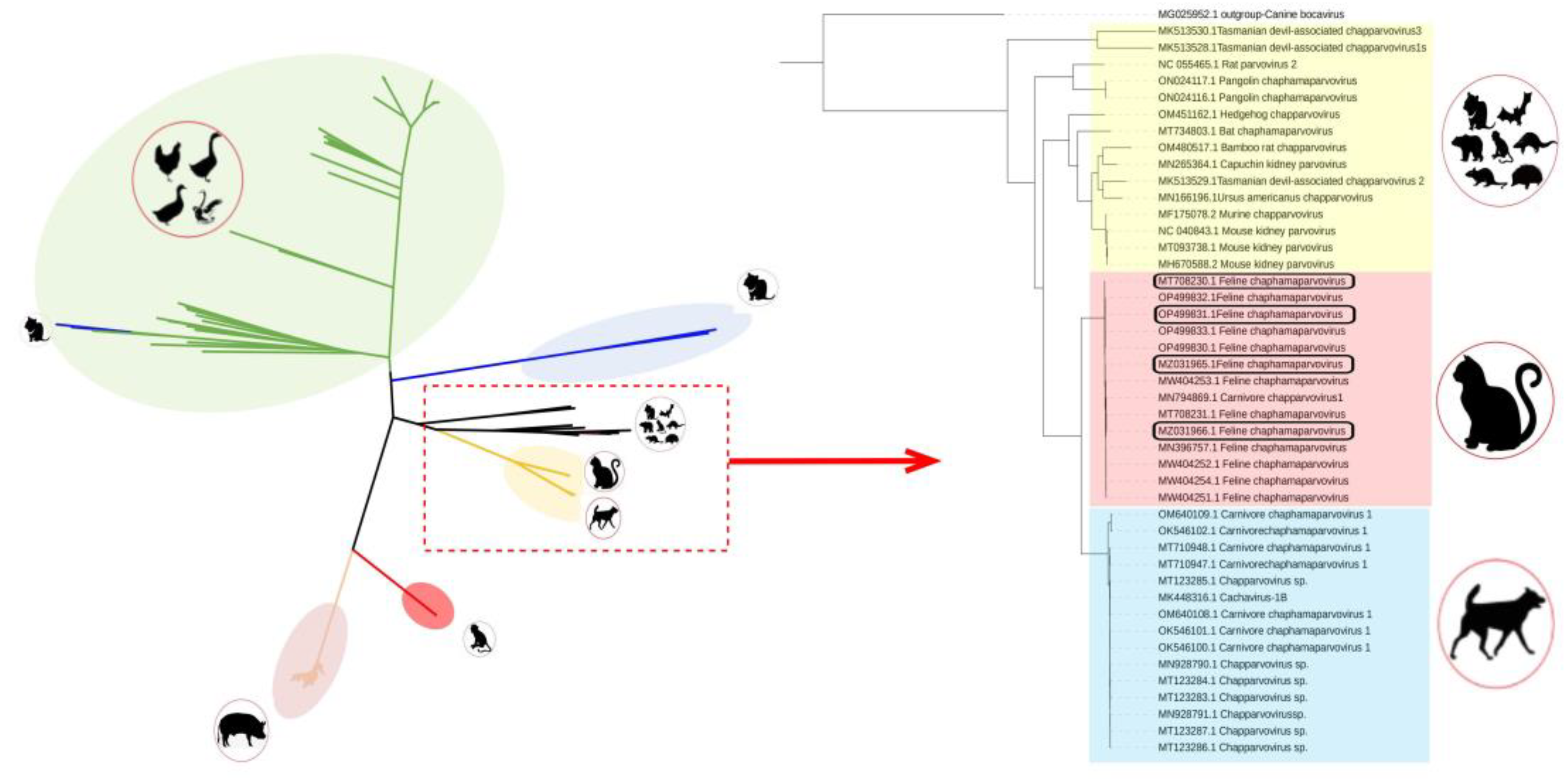 Preprints 75284 g001