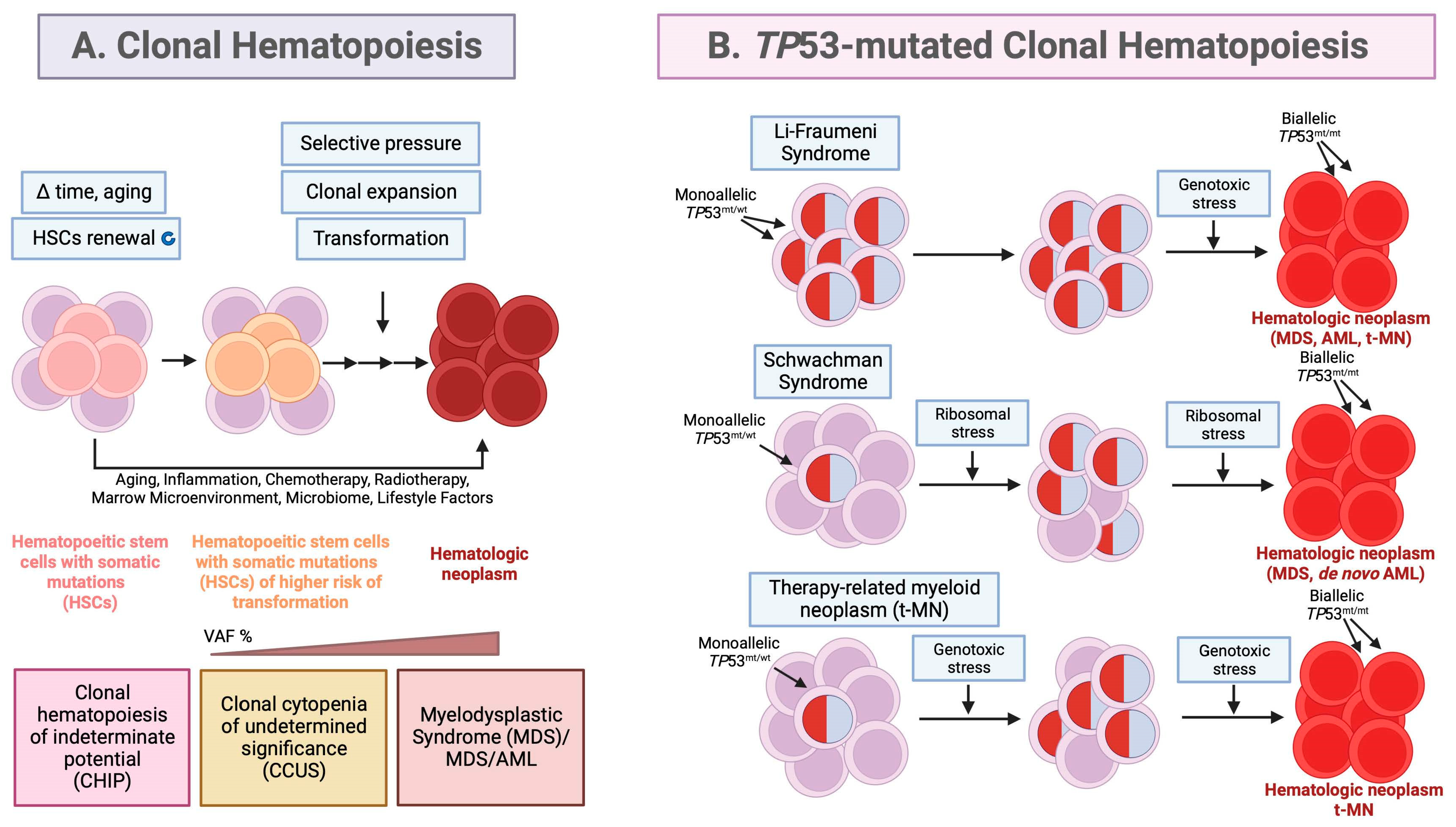 Preprints 84971 g001