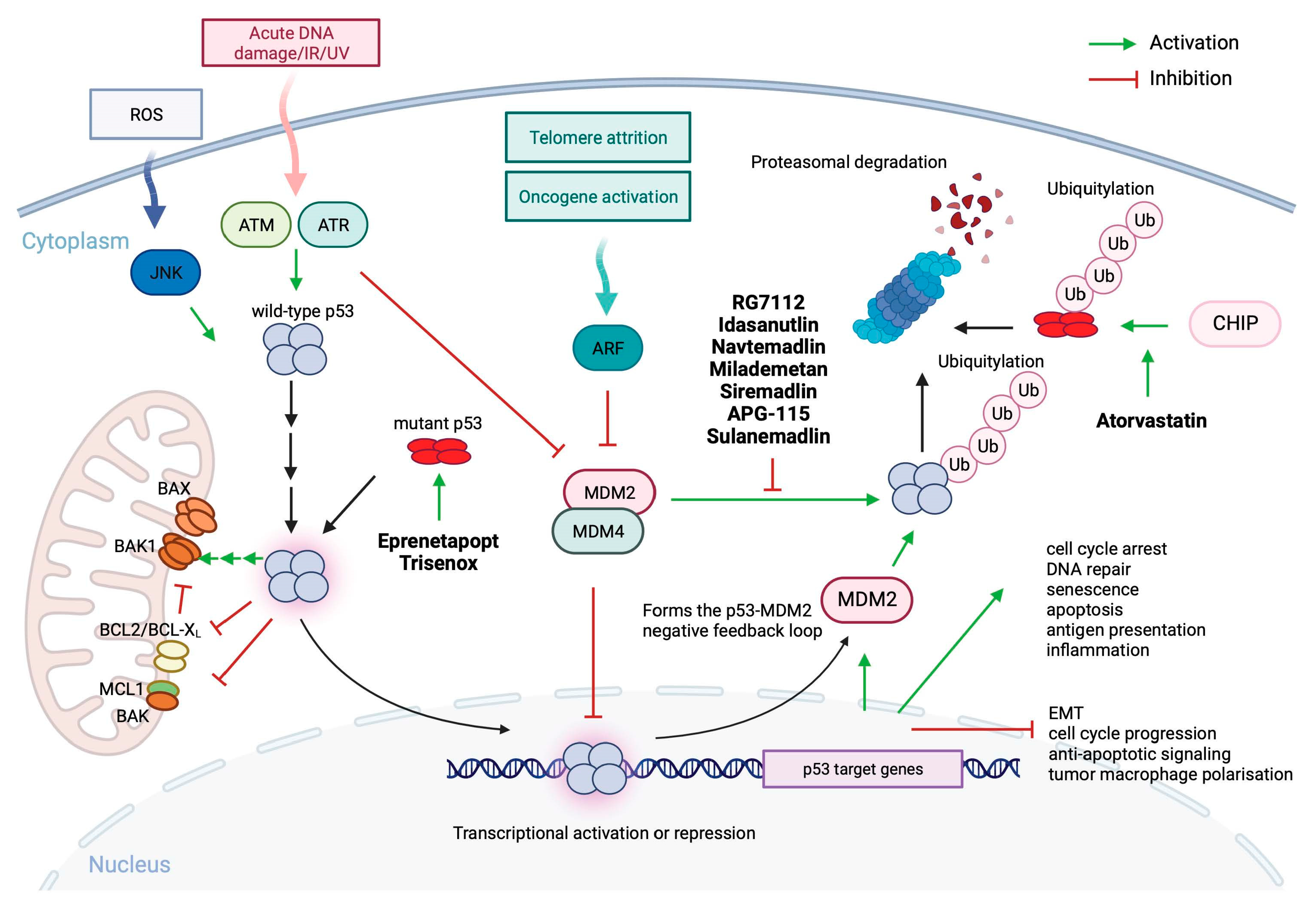 Preprints 84971 g002