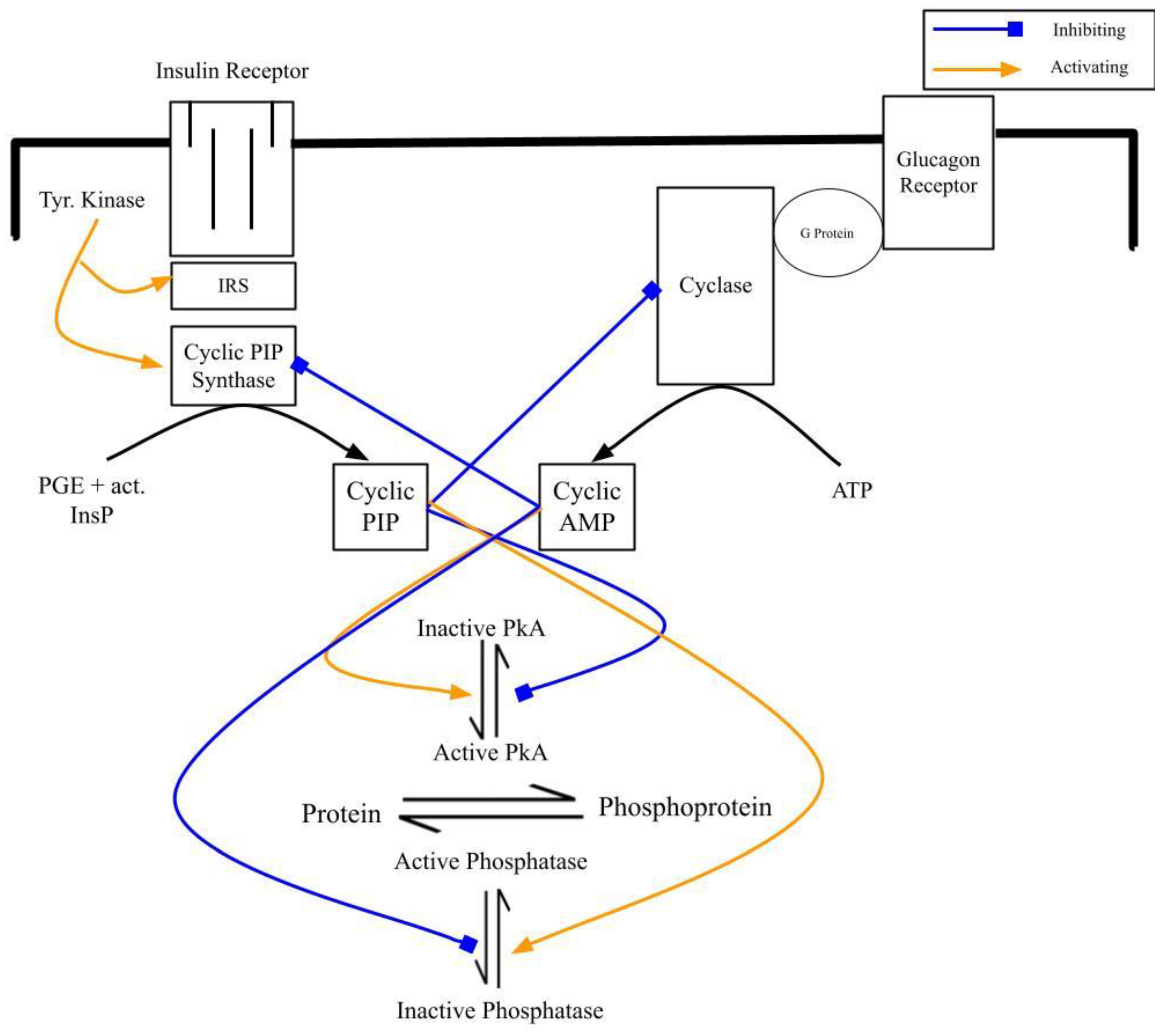 Preprints 85950 g002