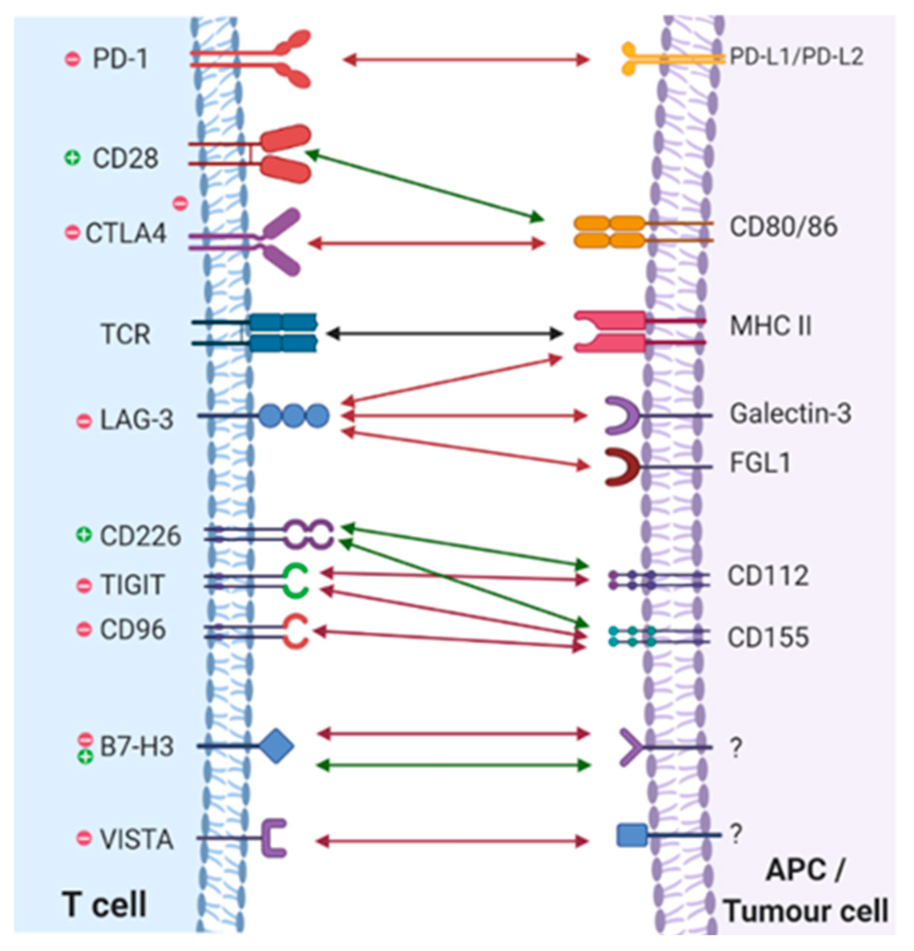 Preprints 103726 g002