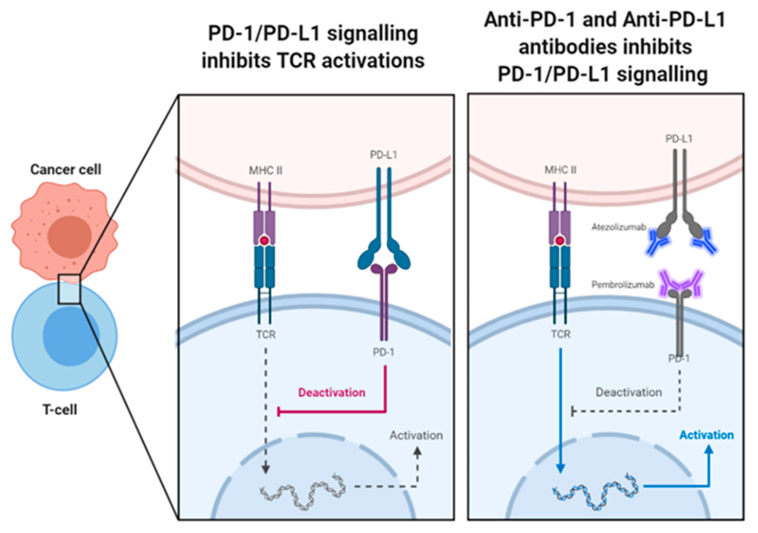 Preprints 103726 g004