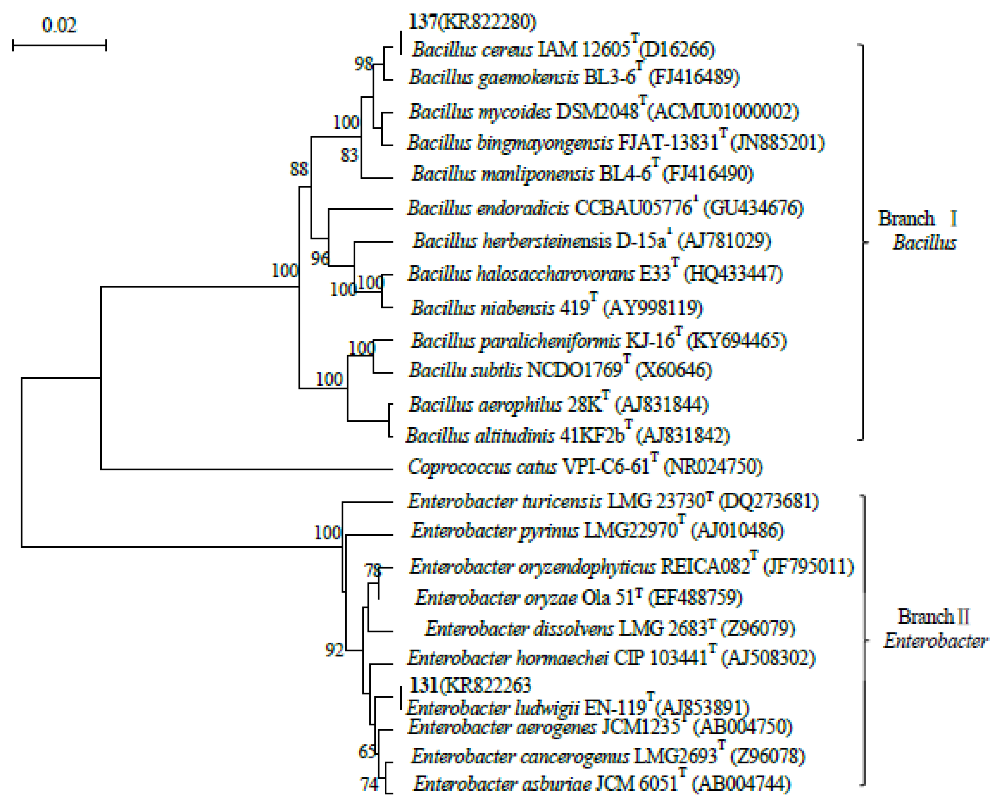 Preprints 88741 g001