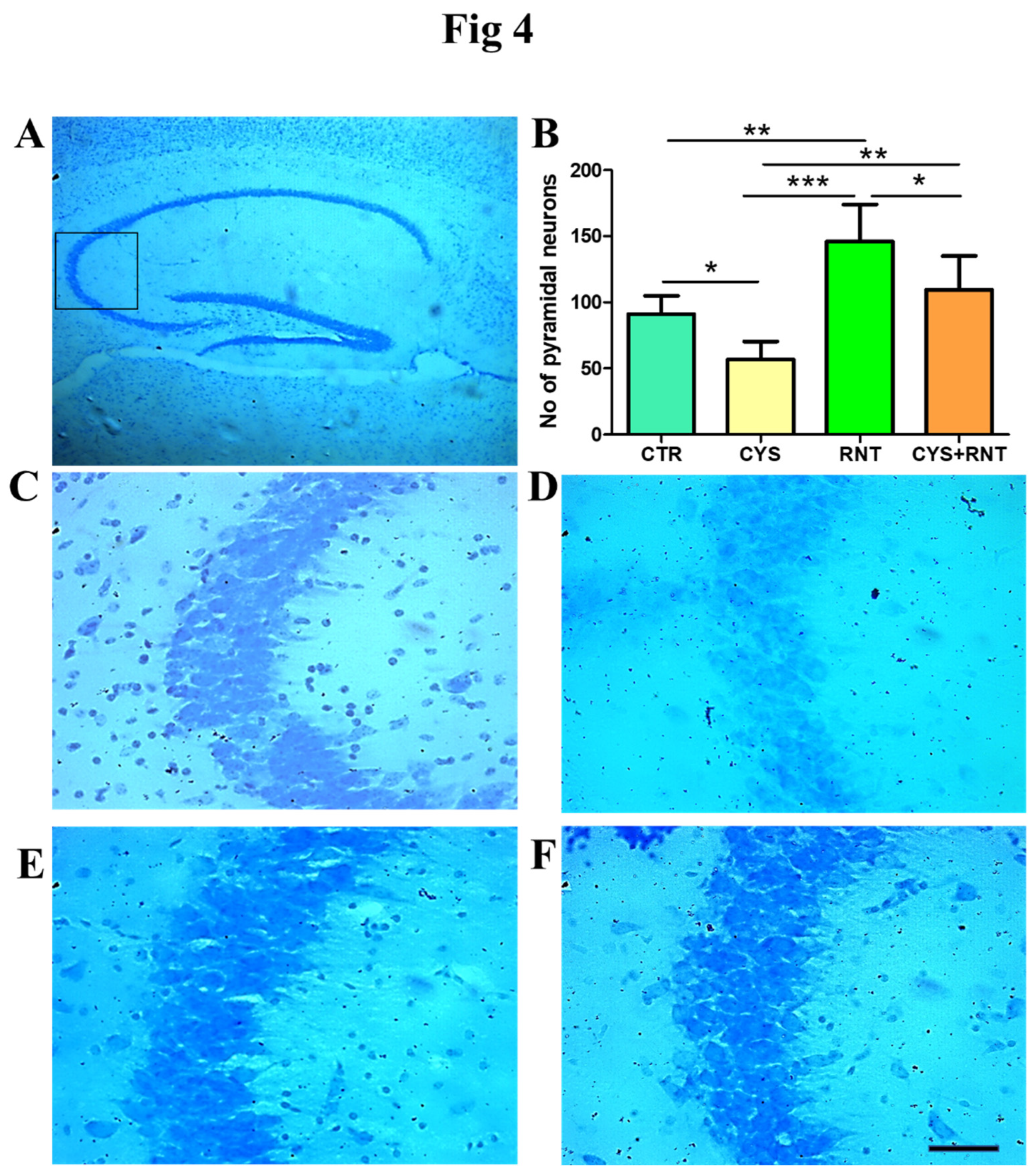 Preprints 66878 g004