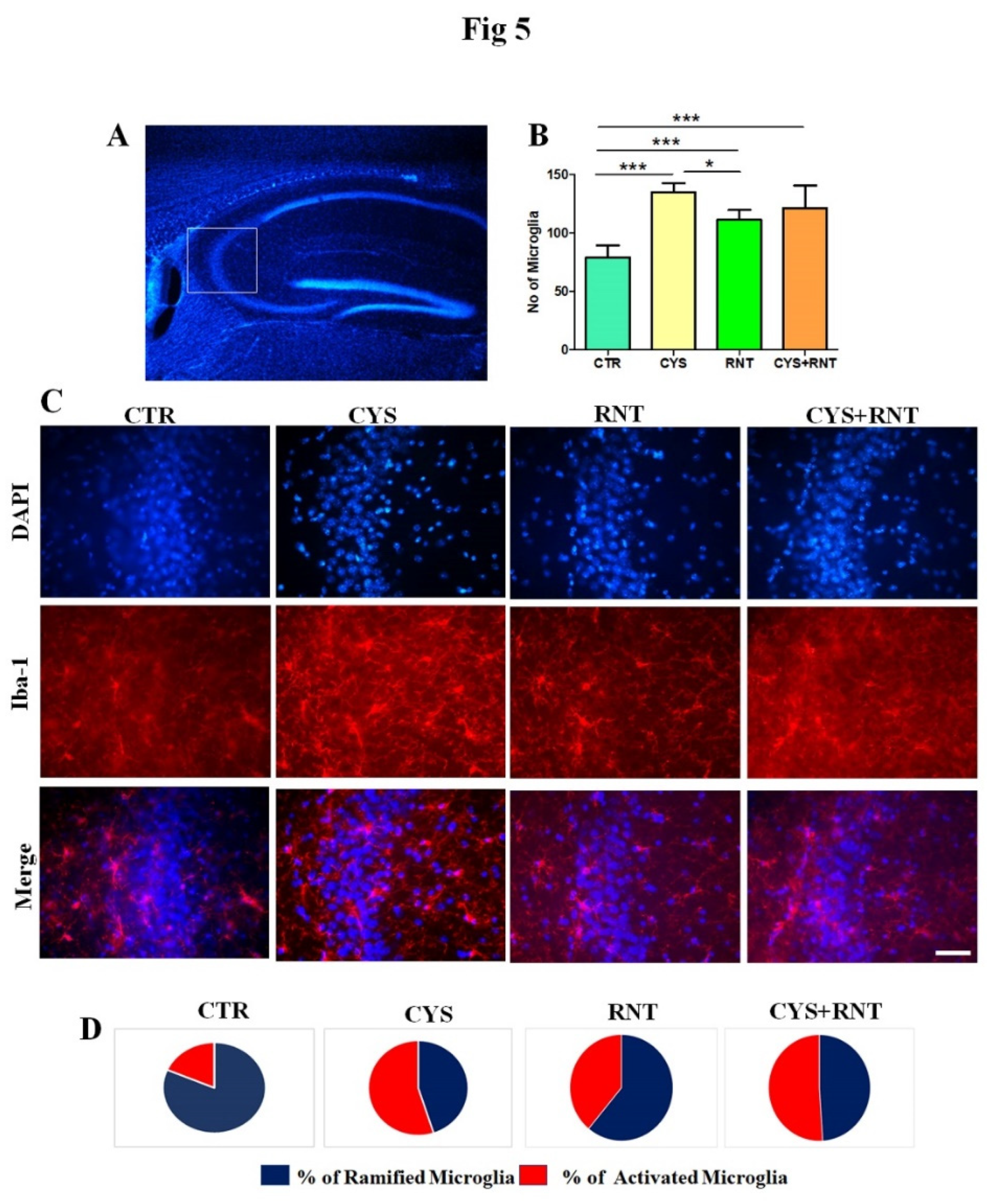 Preprints 66878 g005