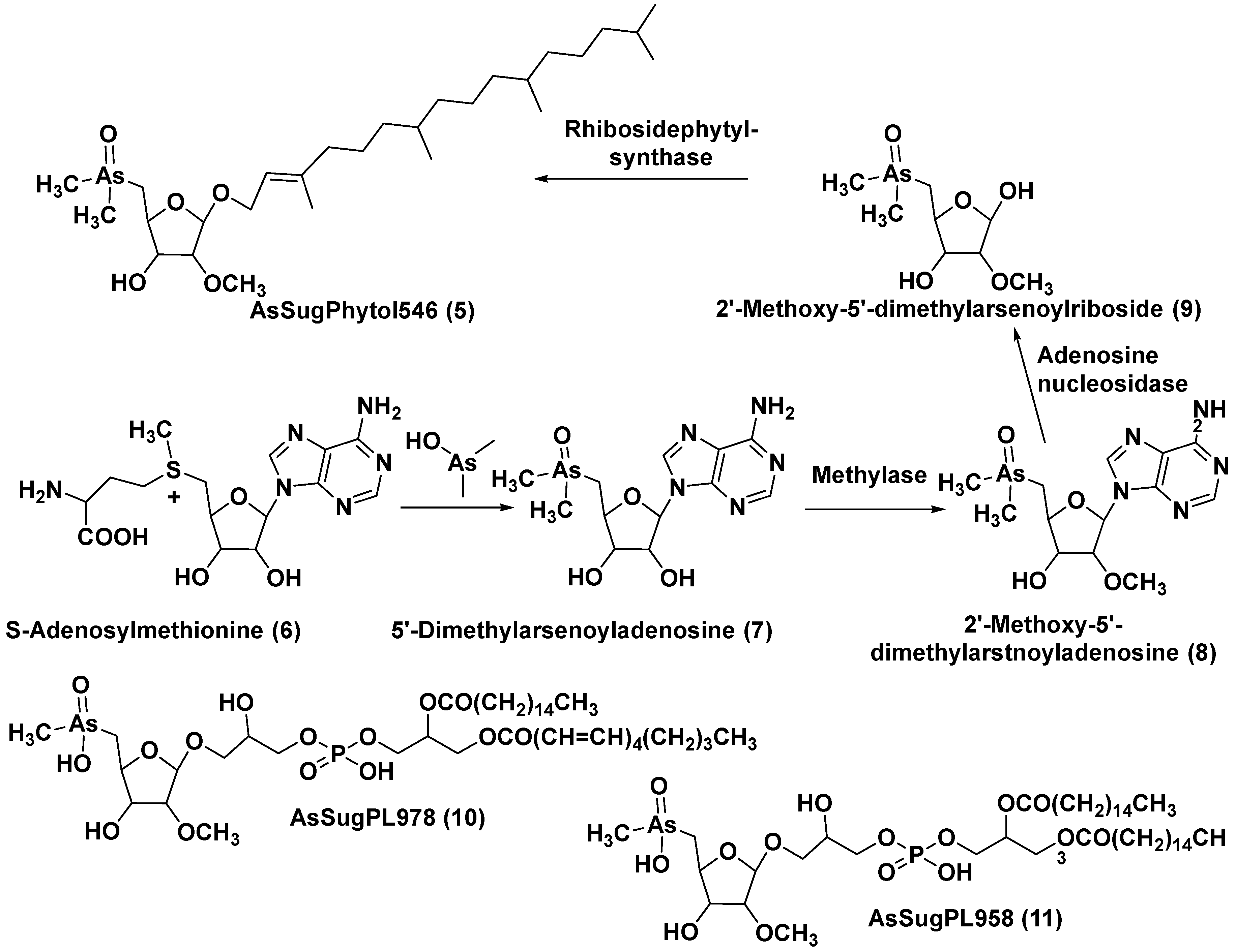 Preprints 77918 g002