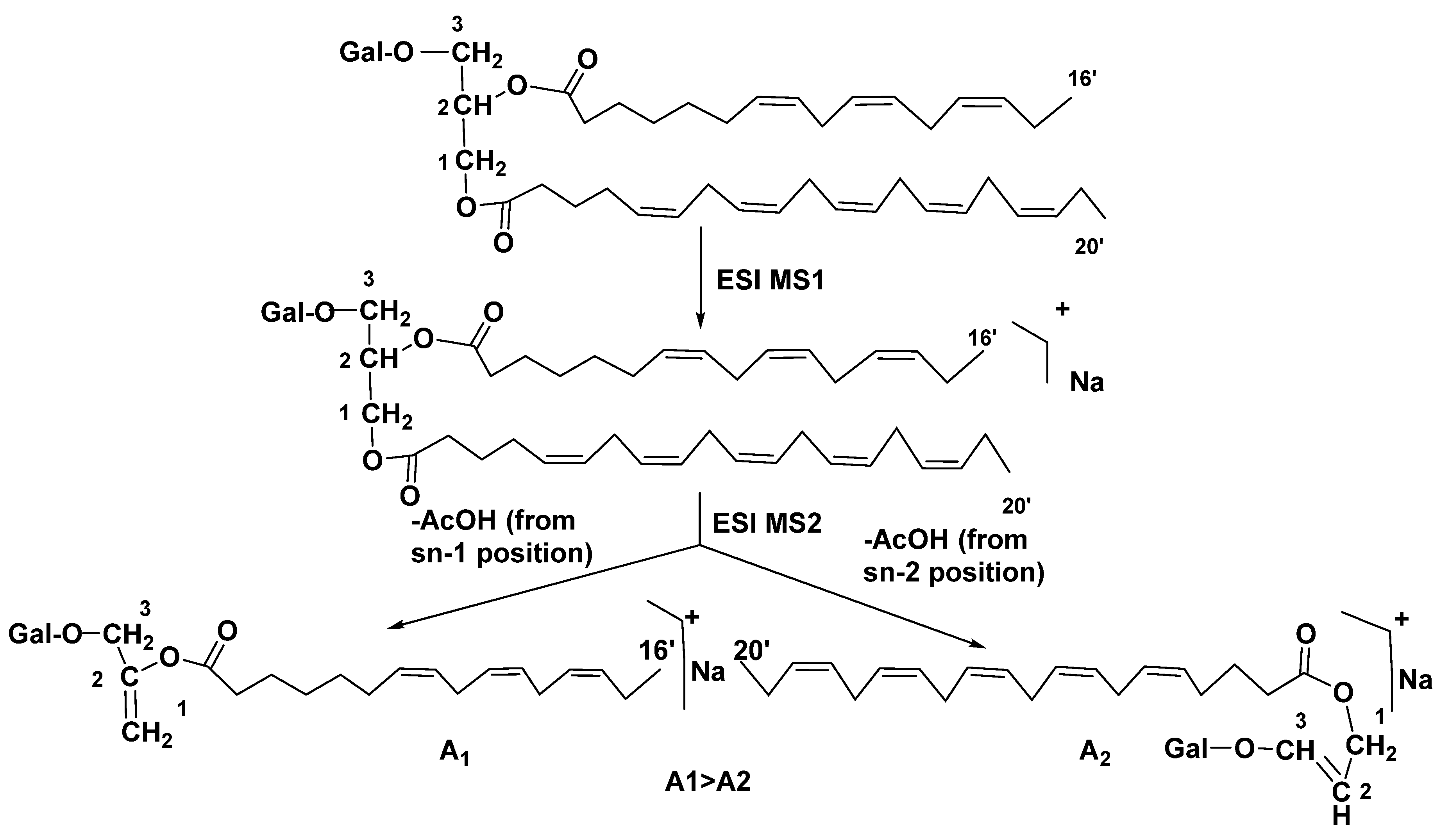 Preprints 77918 g006