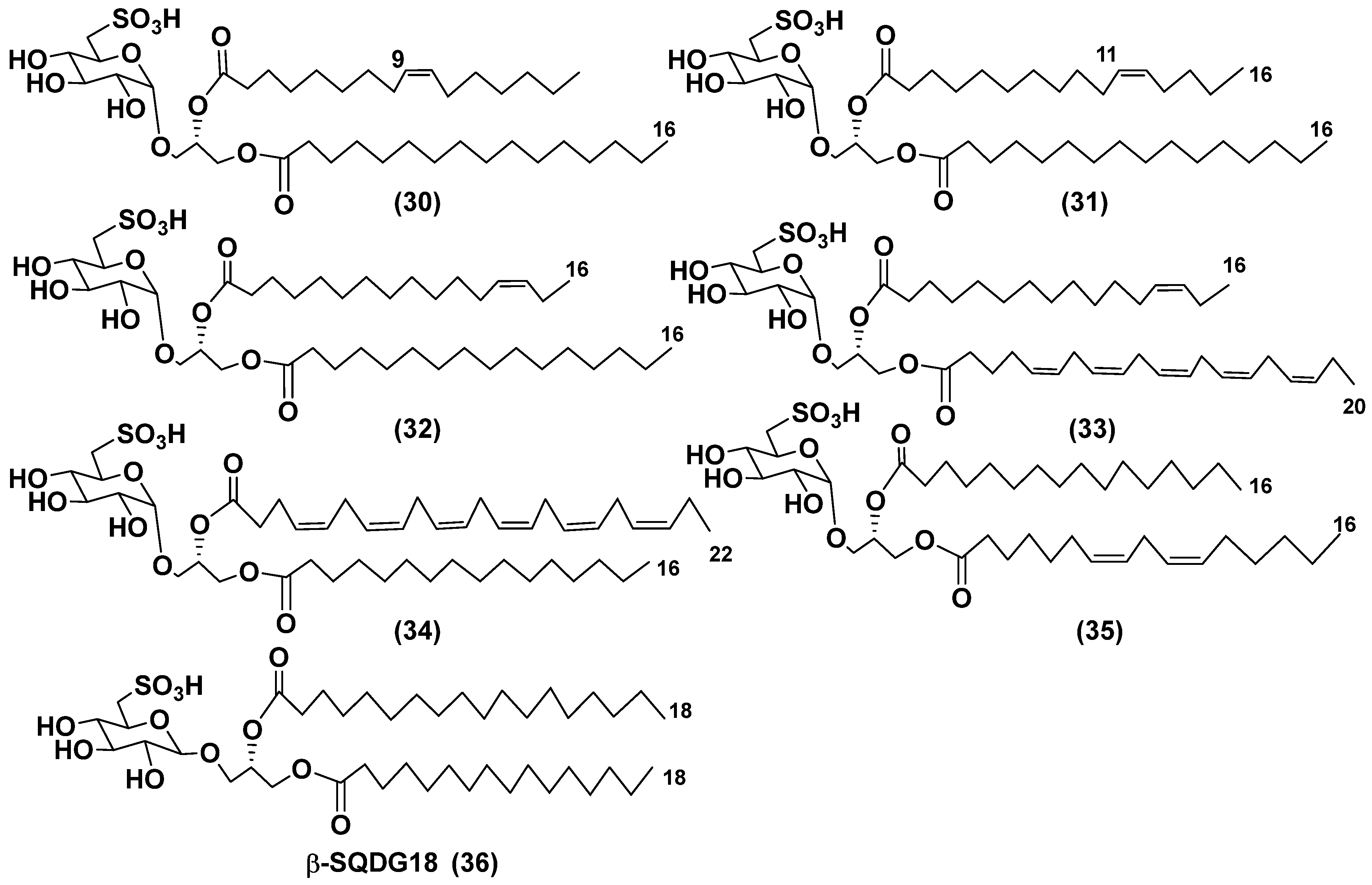 Preprints 77918 g007