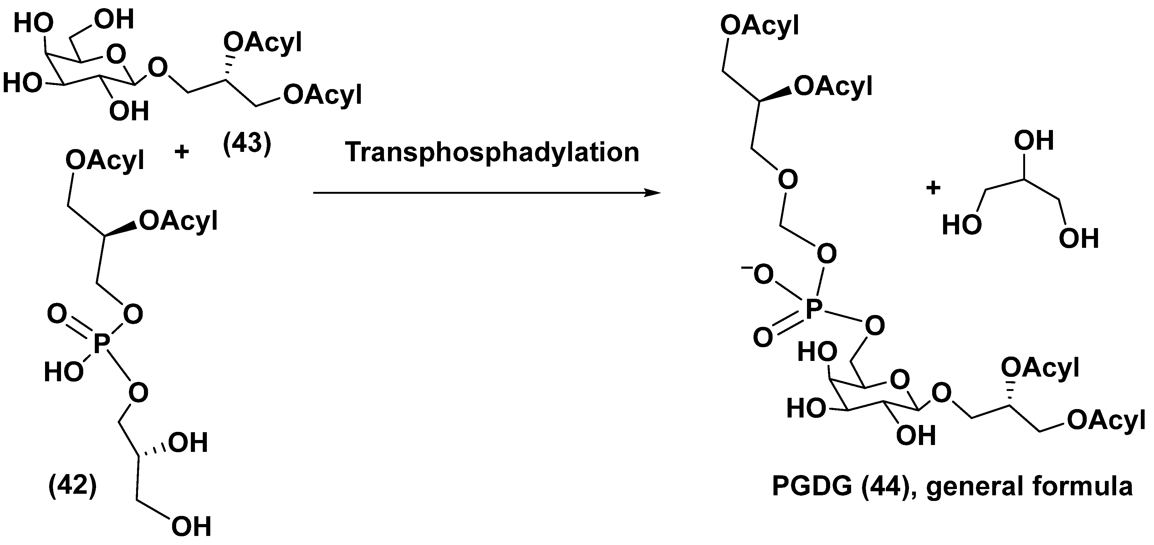 Preprints 77918 g010