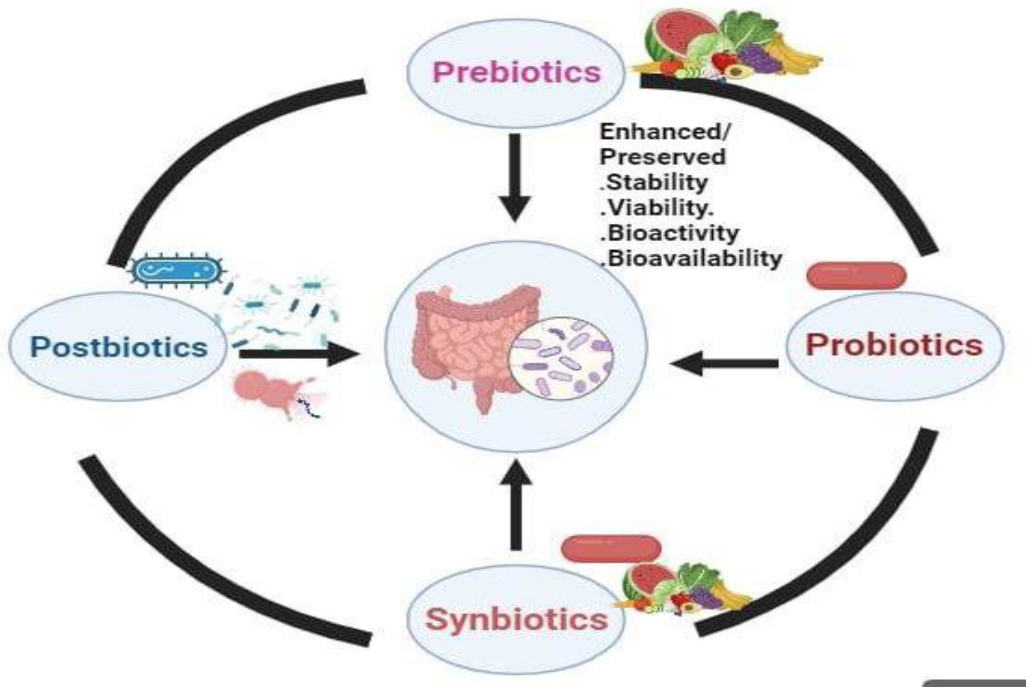 Preprints 105047 g006