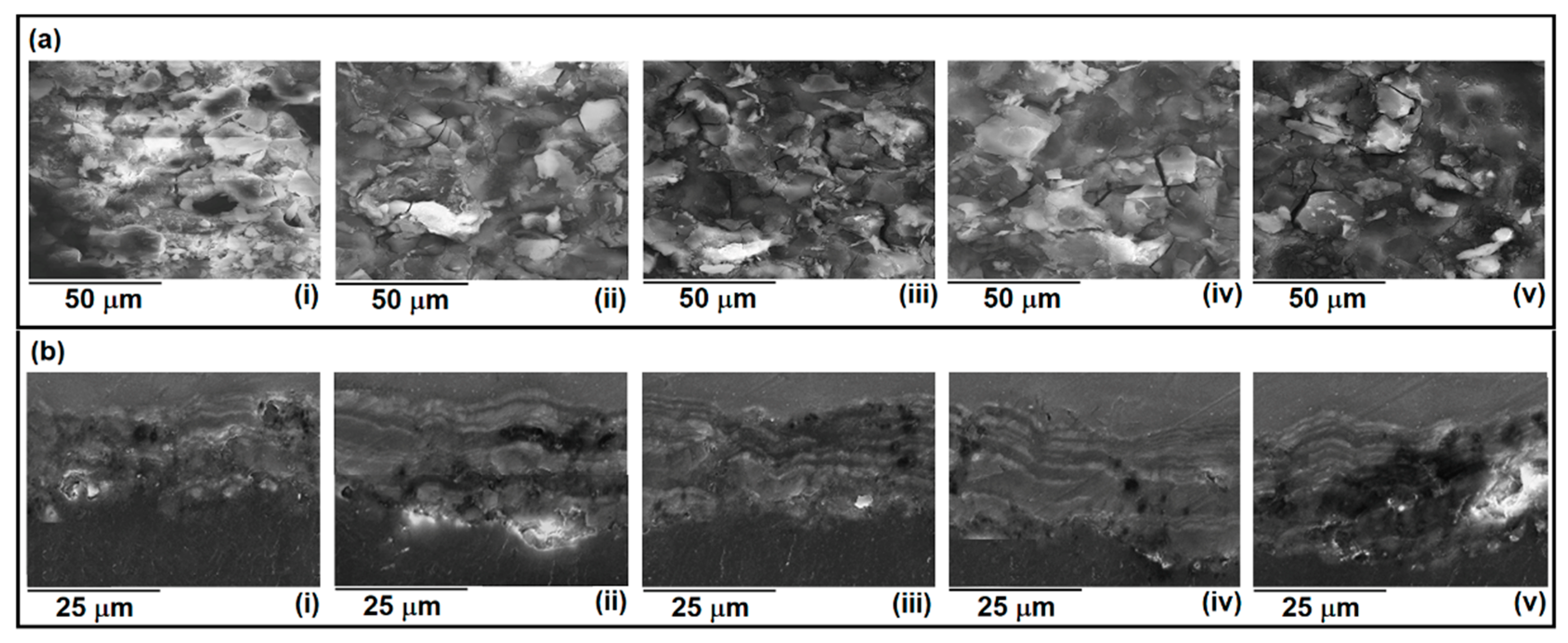 Preprints 100096 g001