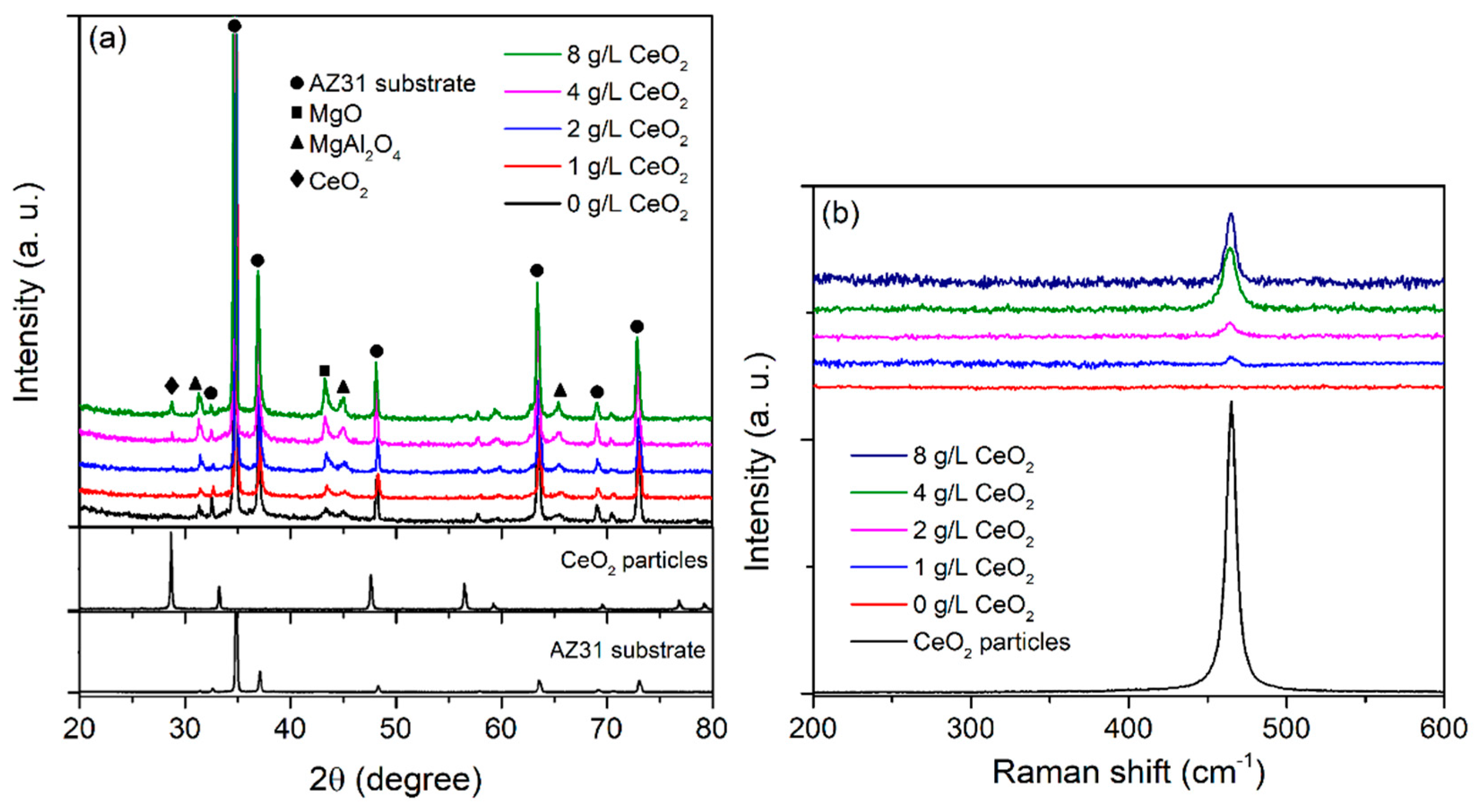 Preprints 100096 g002