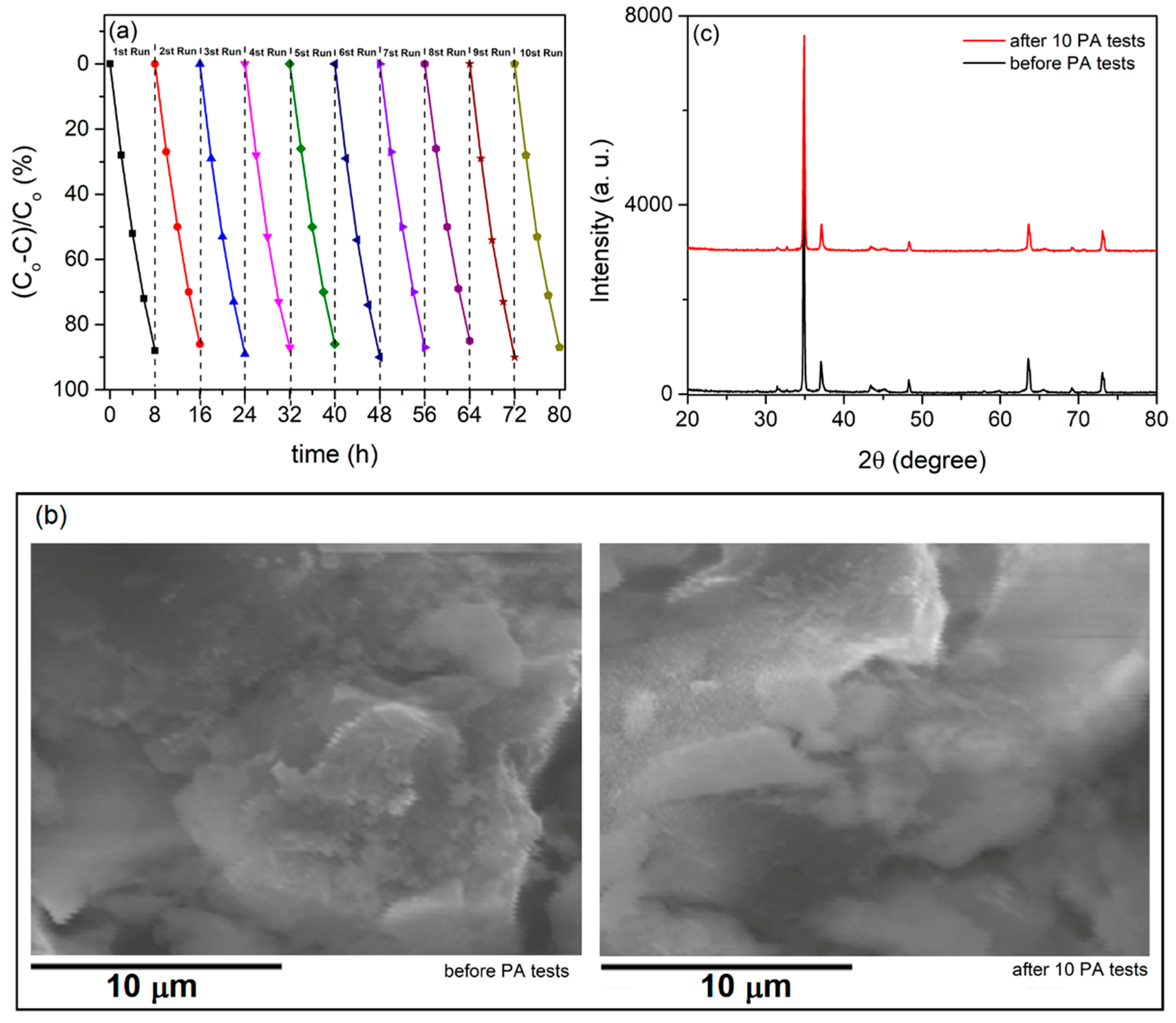 Preprints 100096 g007