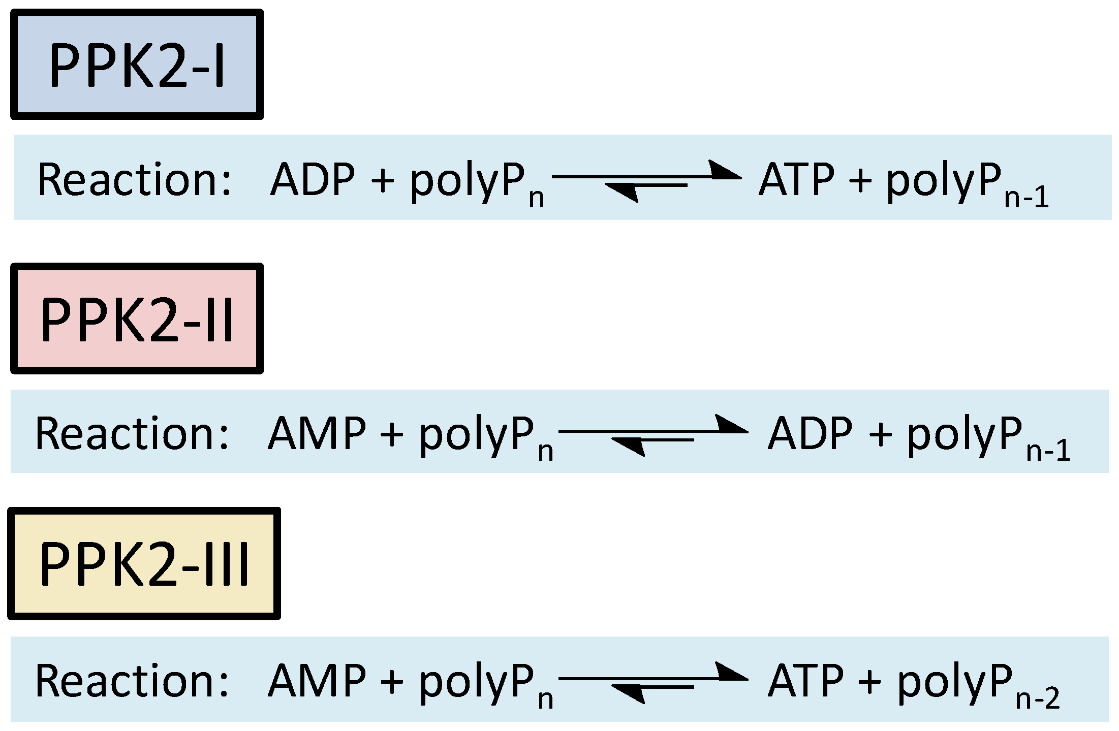 Preprints 114175 g001