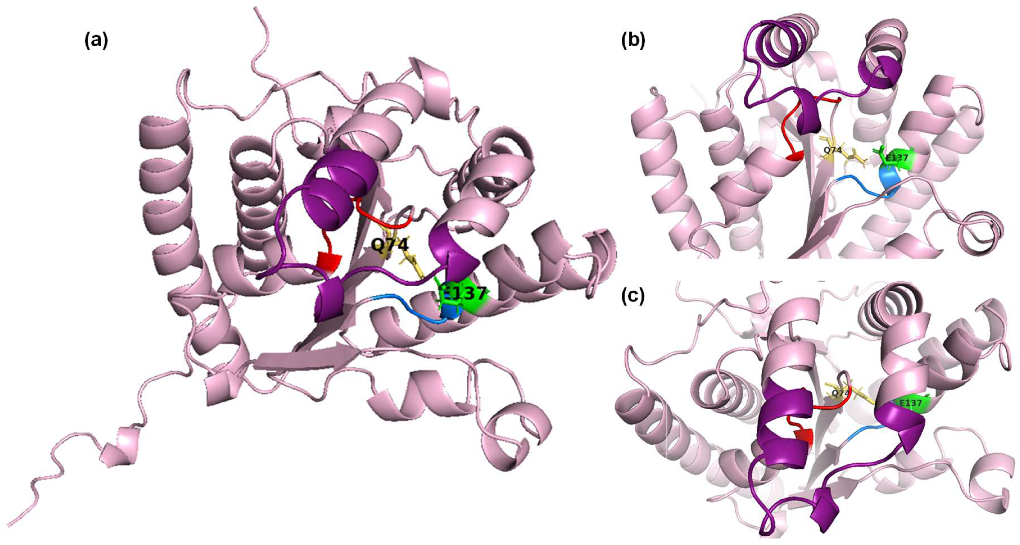 Preprints 114175 g002