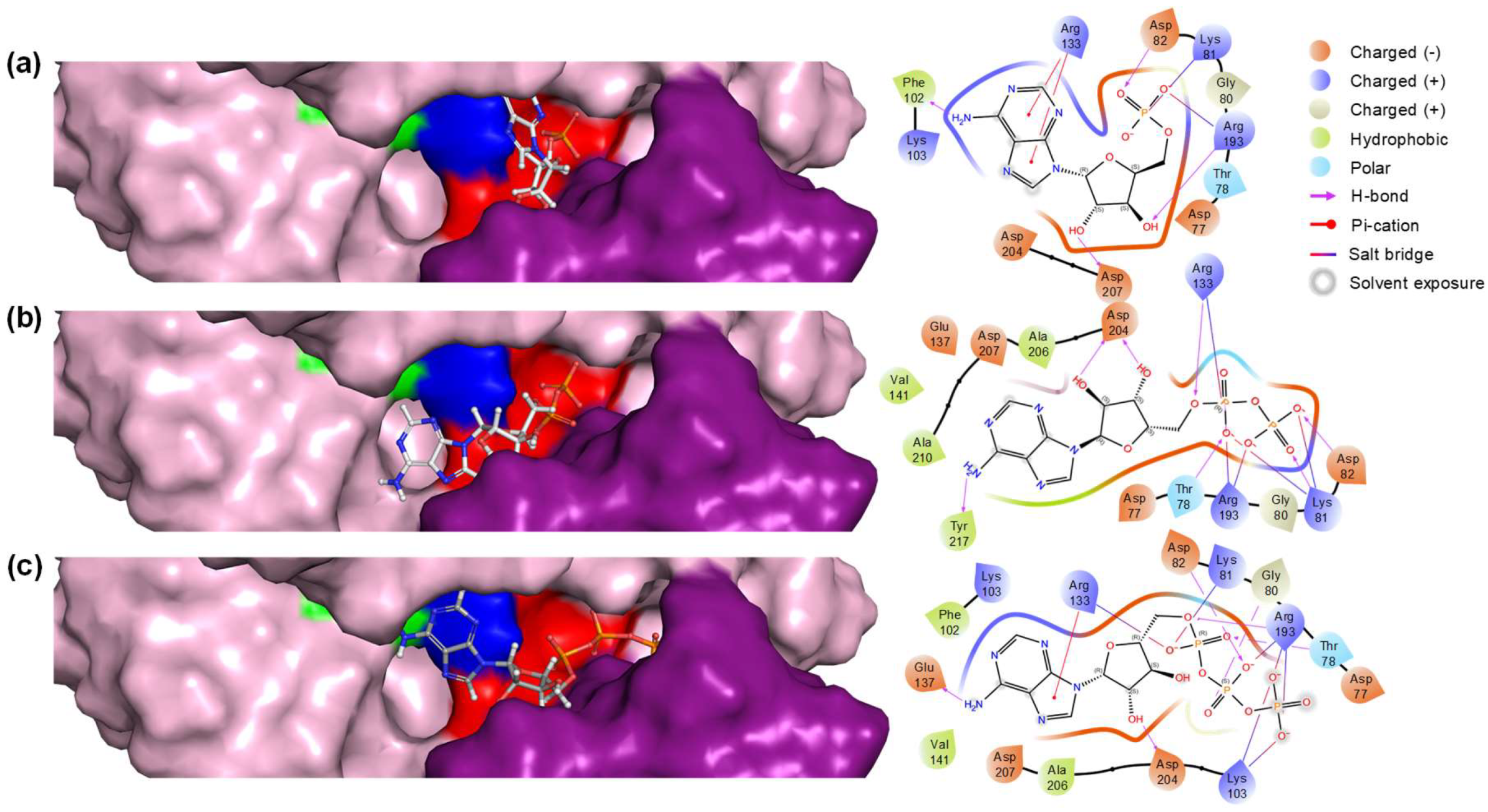 Preprints 114175 g003