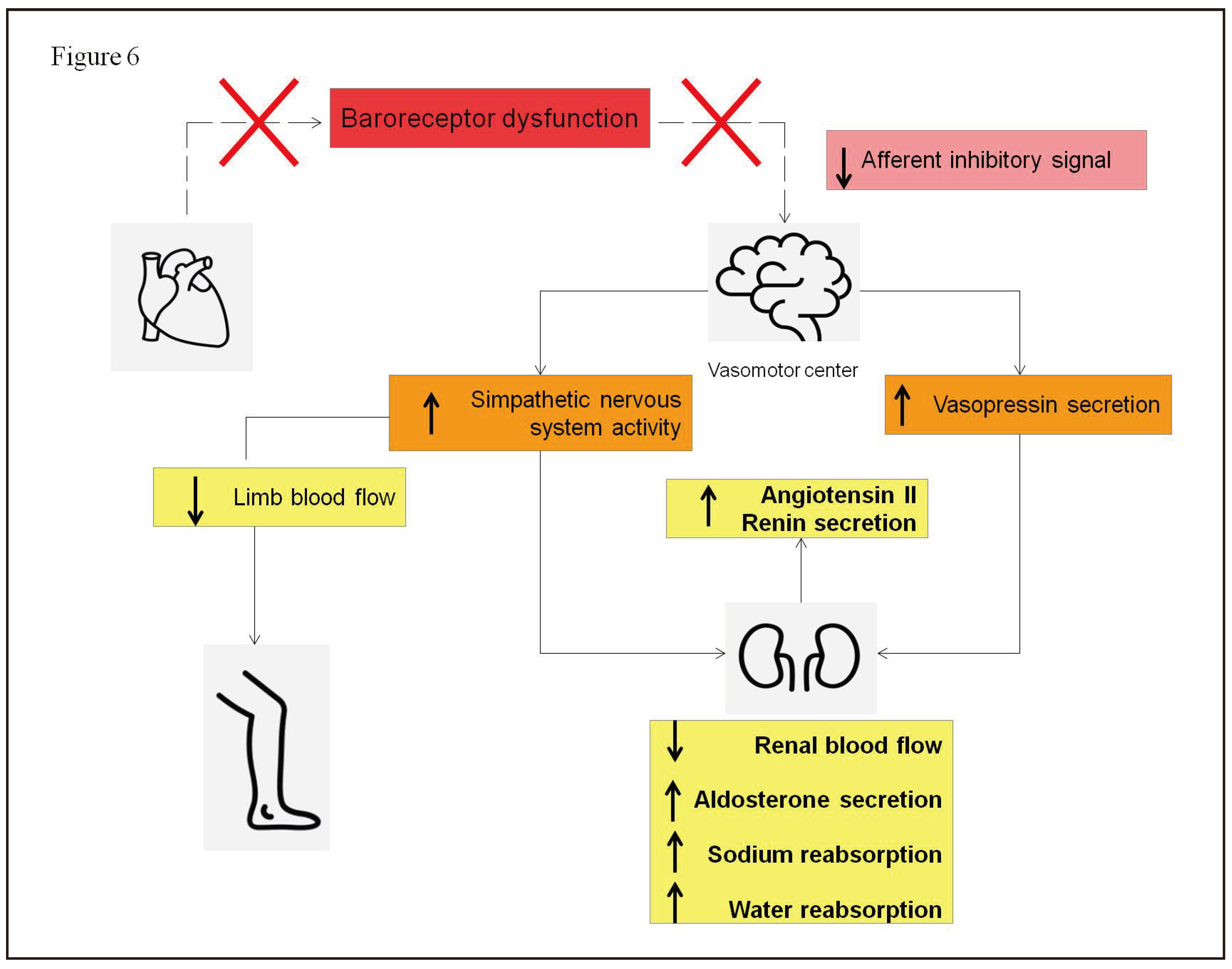 Preprints 102430 g006