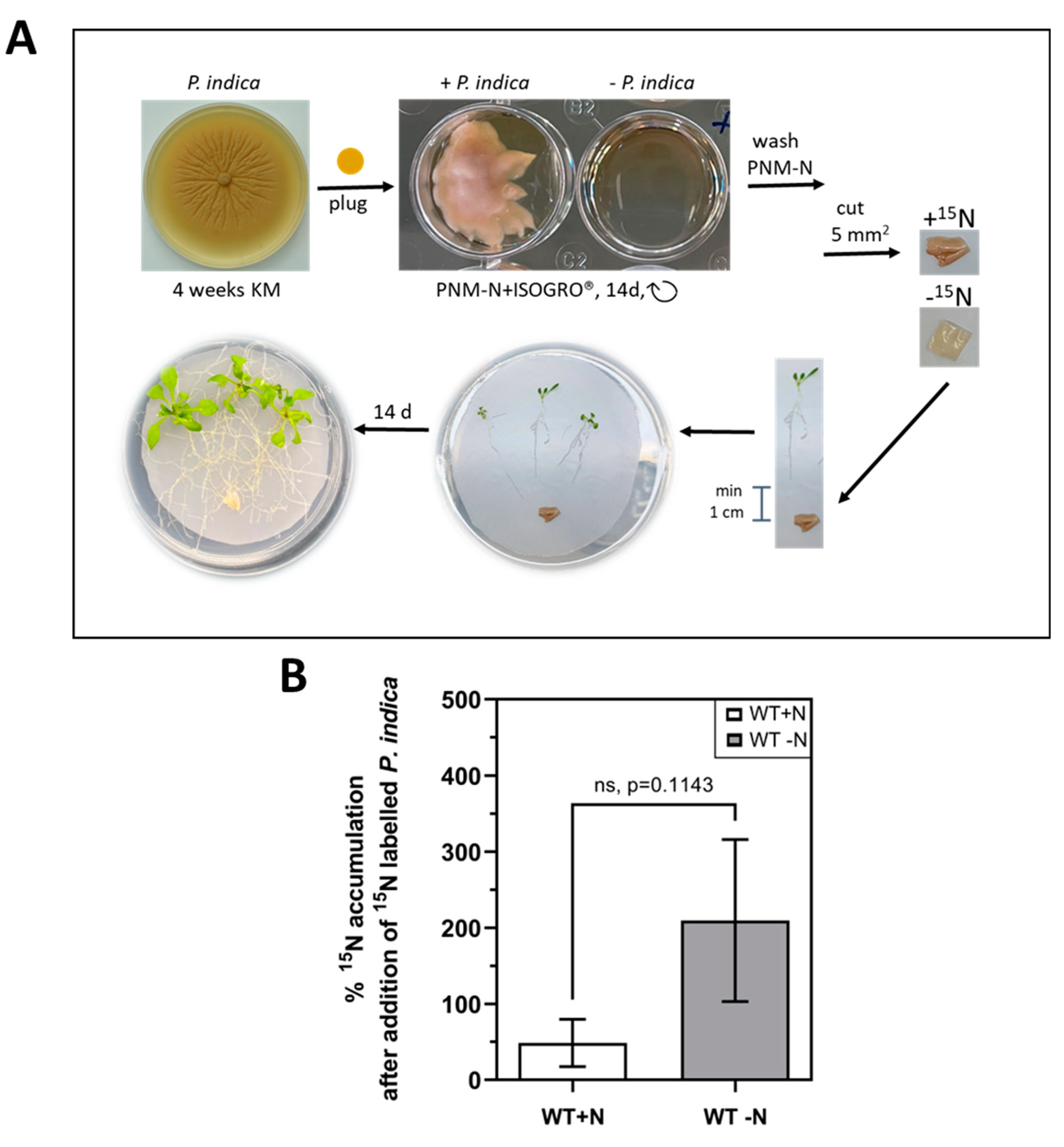 Preprints 84758 g003