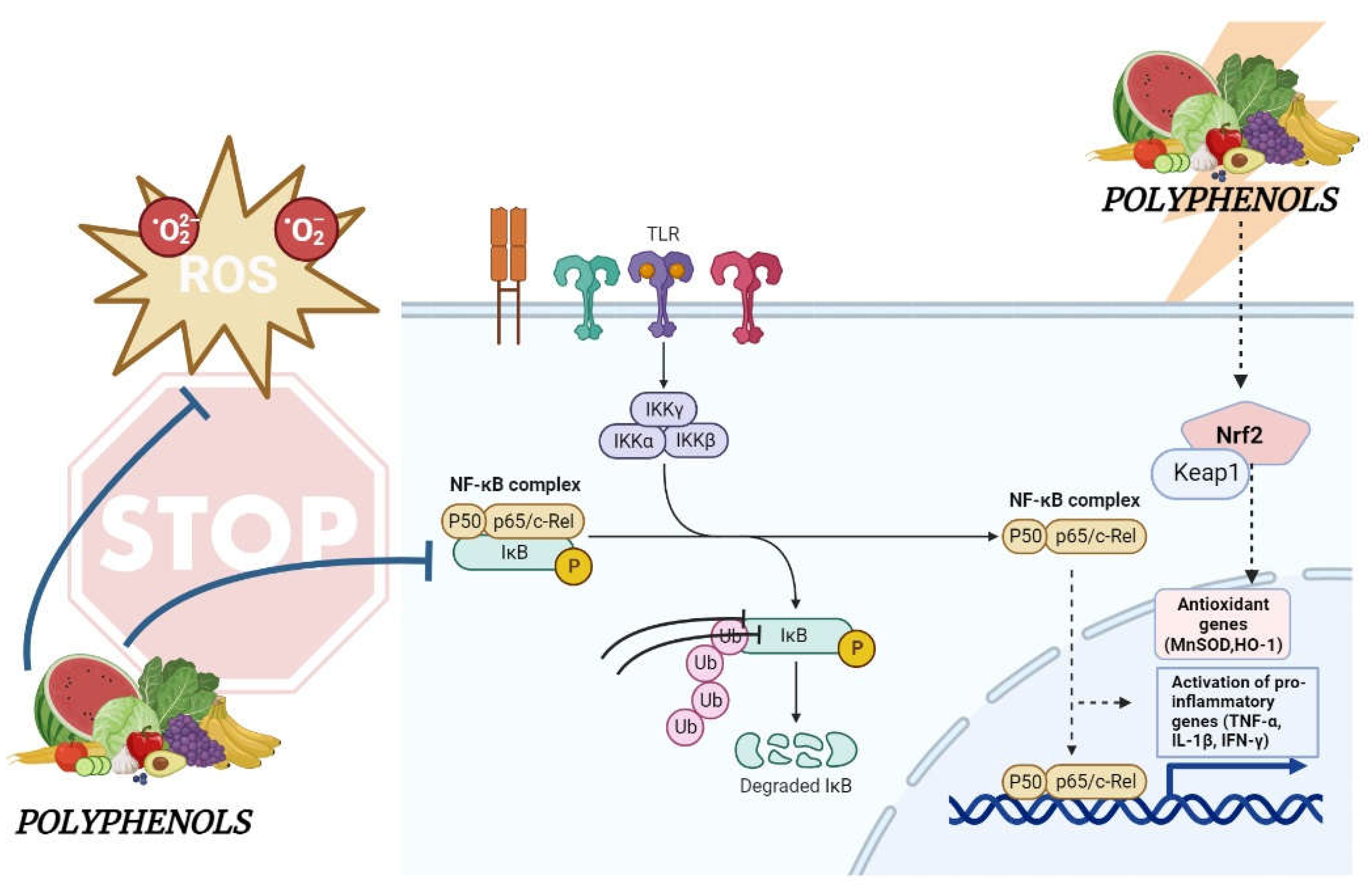 Preprints 83141 g001