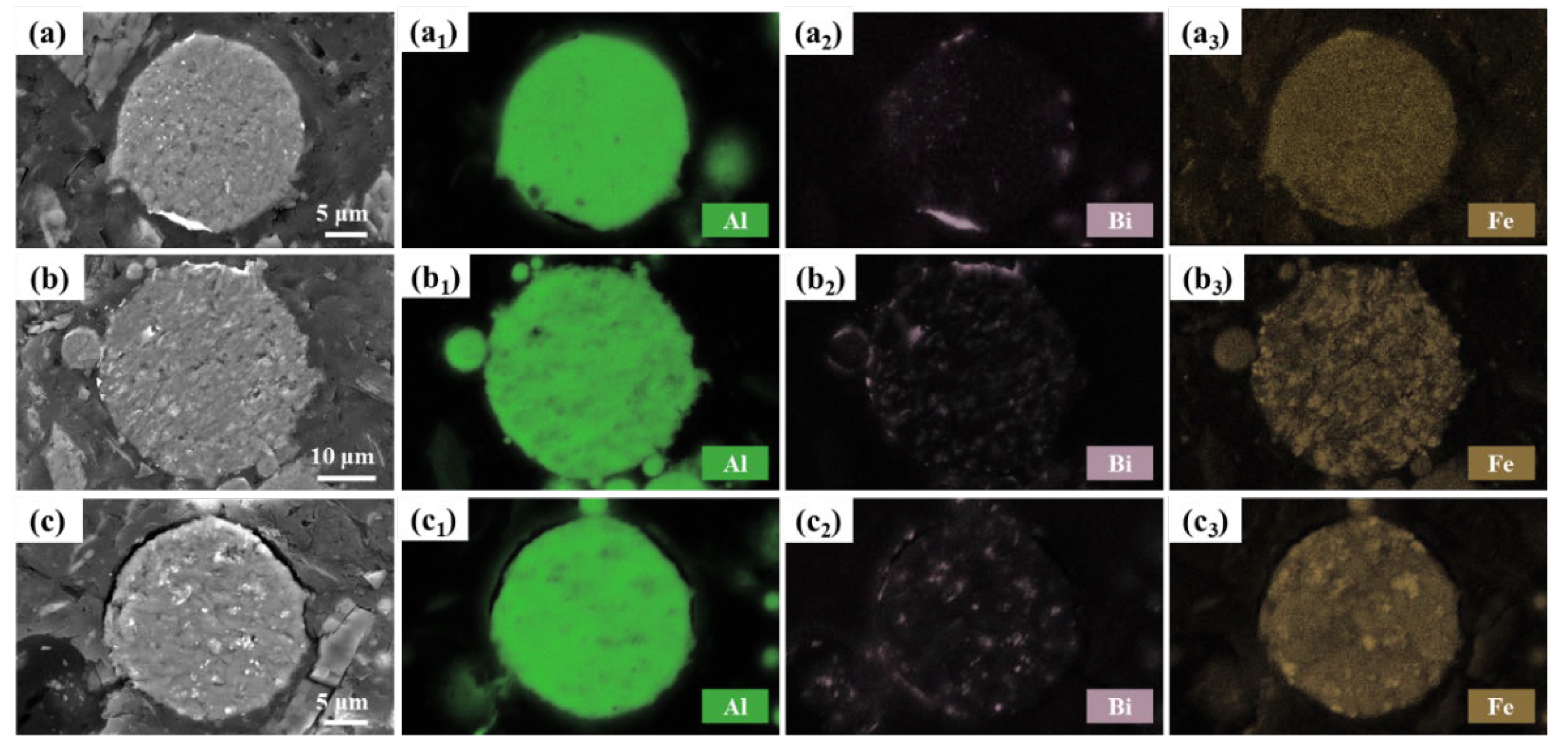 Preprints 119146 g004