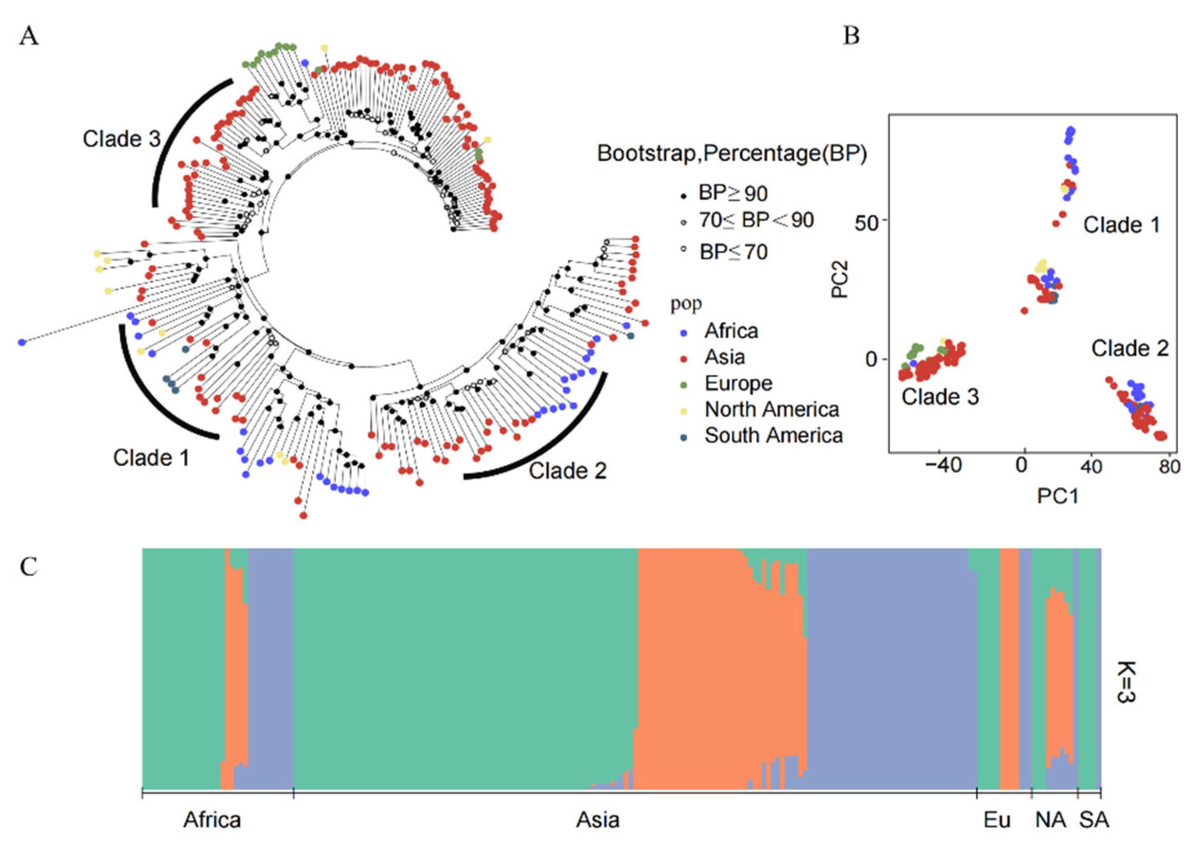 Preprints 116690 g002