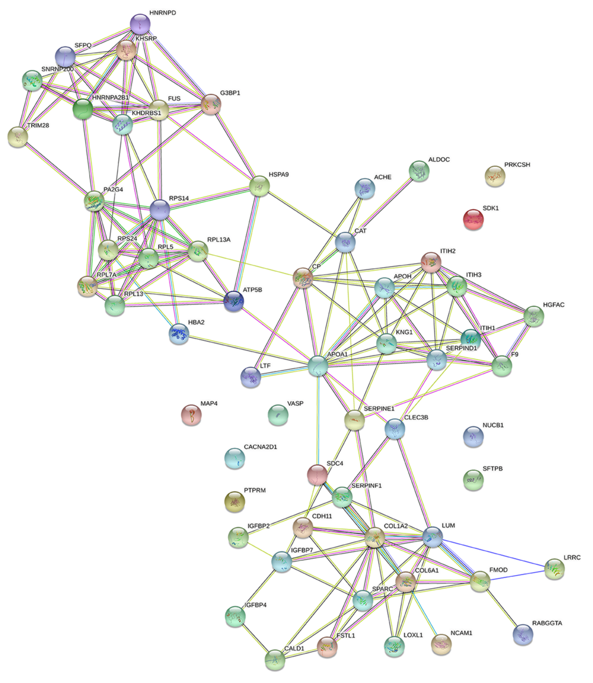 Preprints 74498 g006