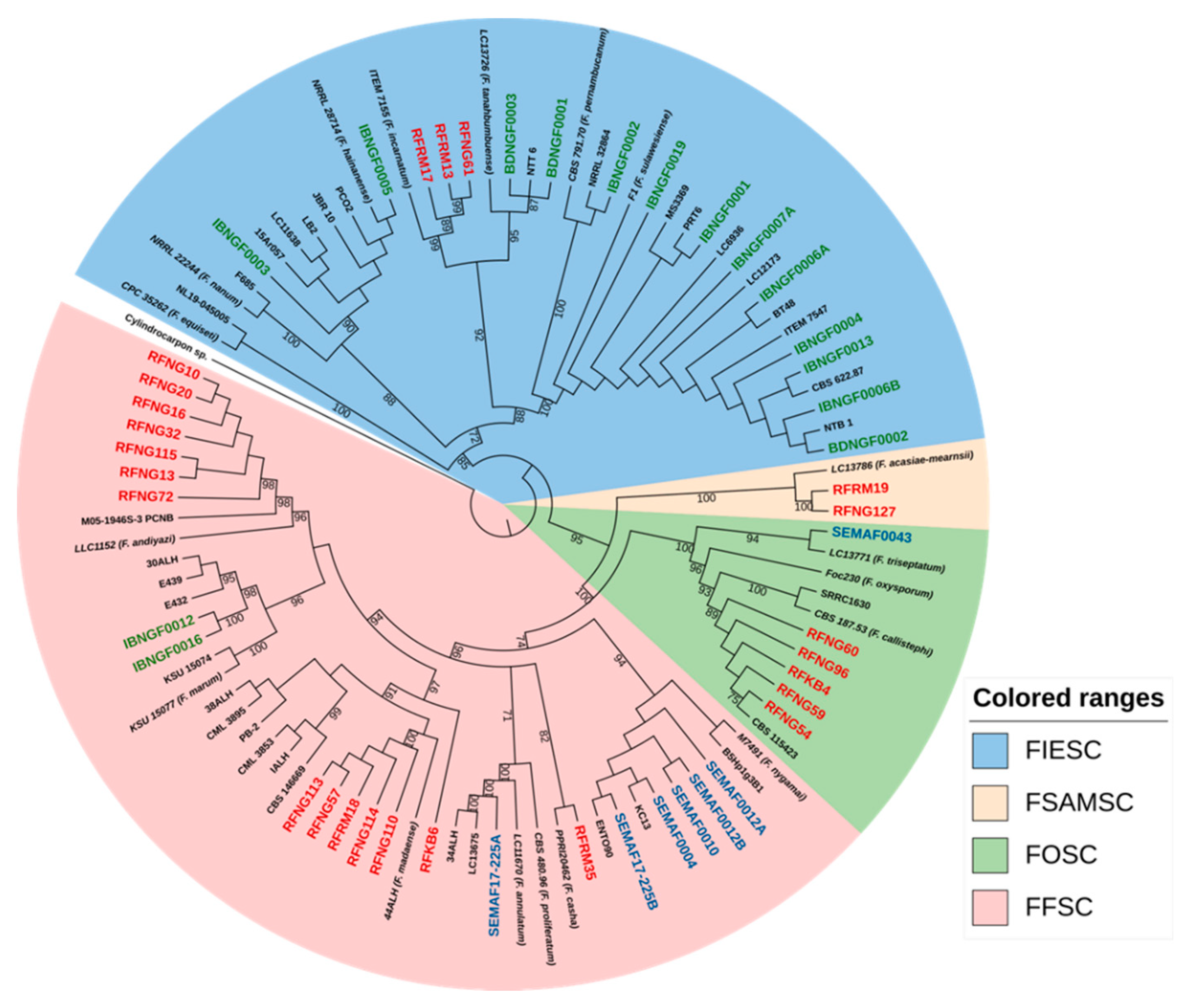 Preprints 83641 g003