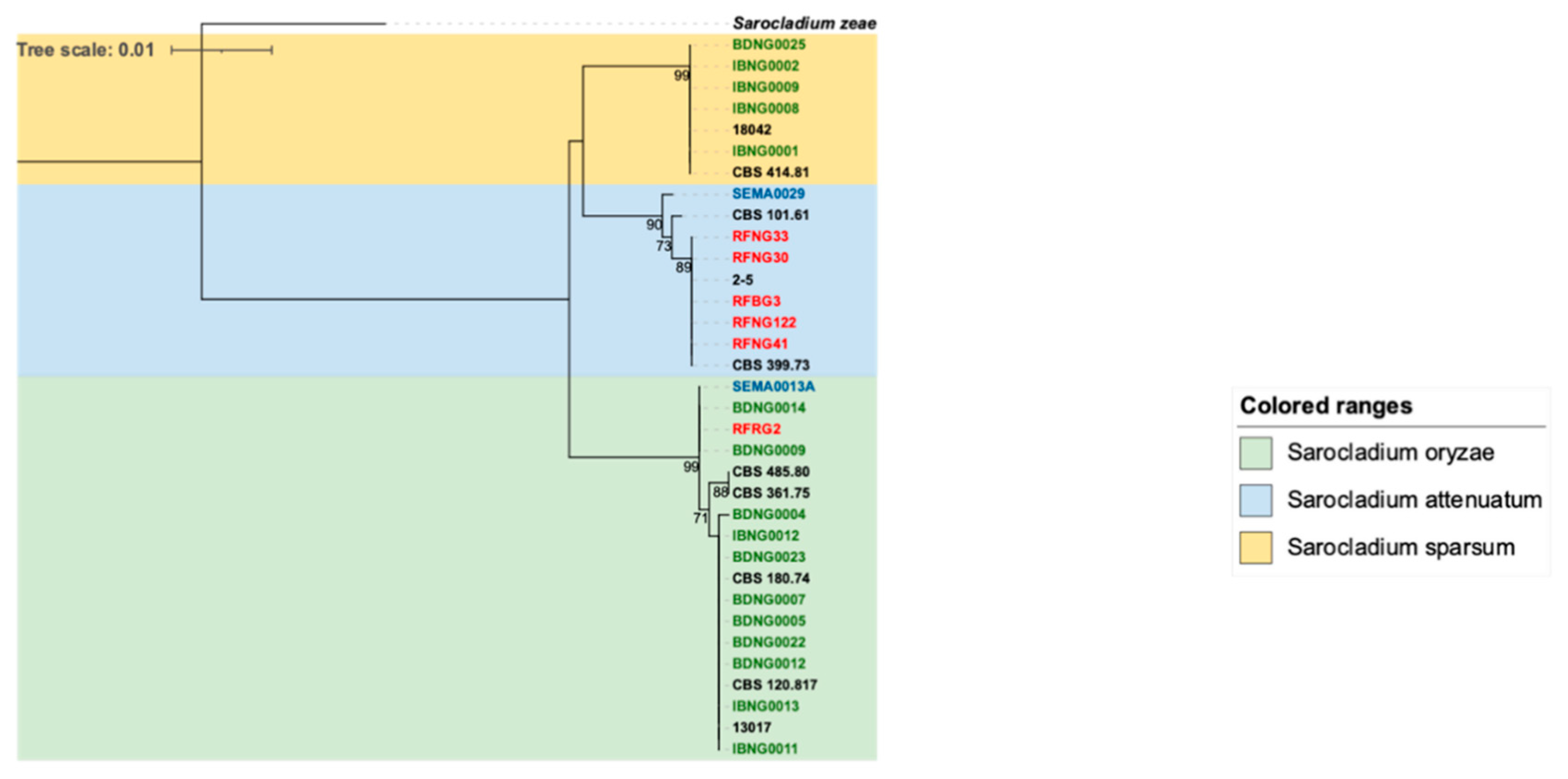 Preprints 83641 g004