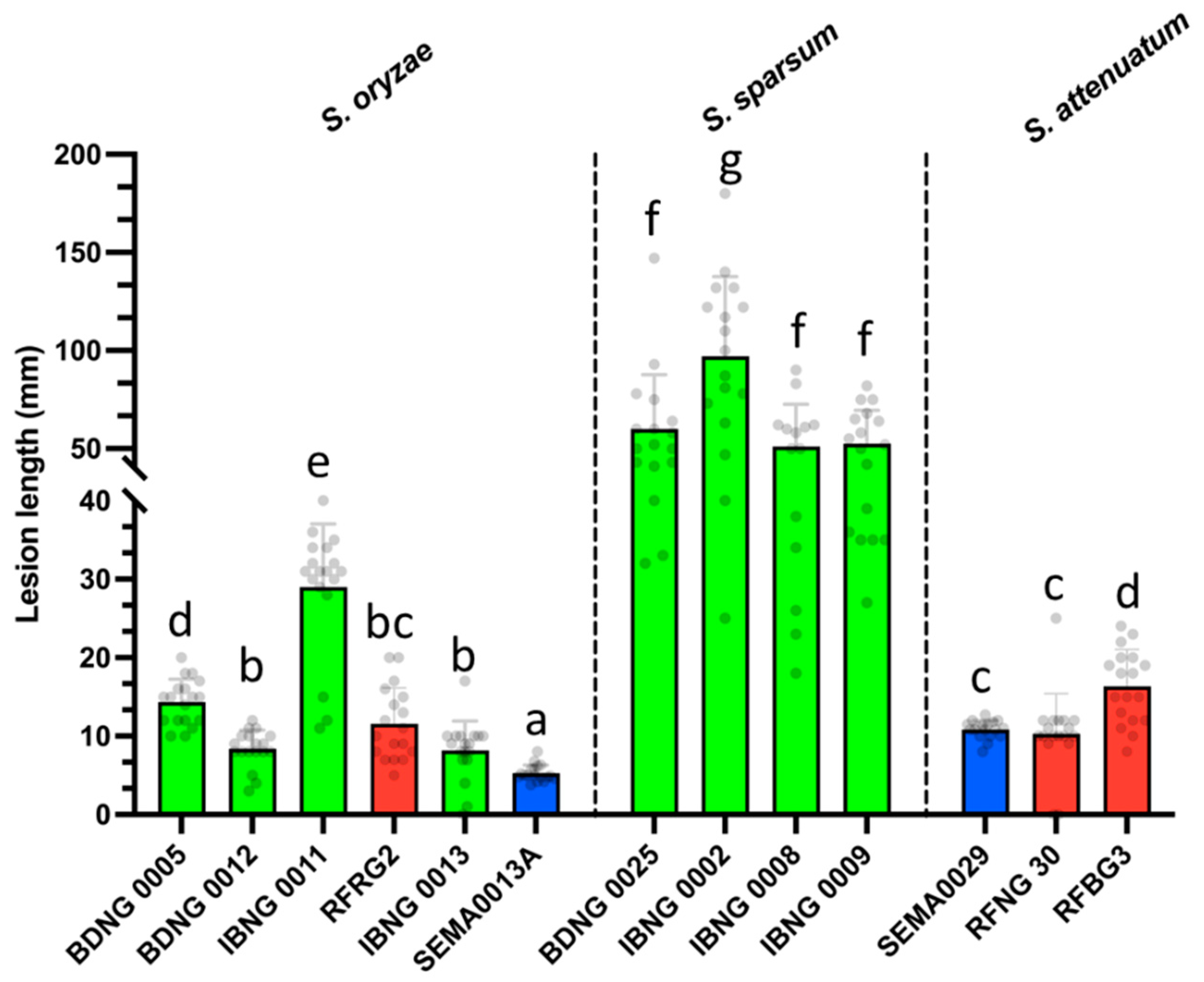 Preprints 83641 g006