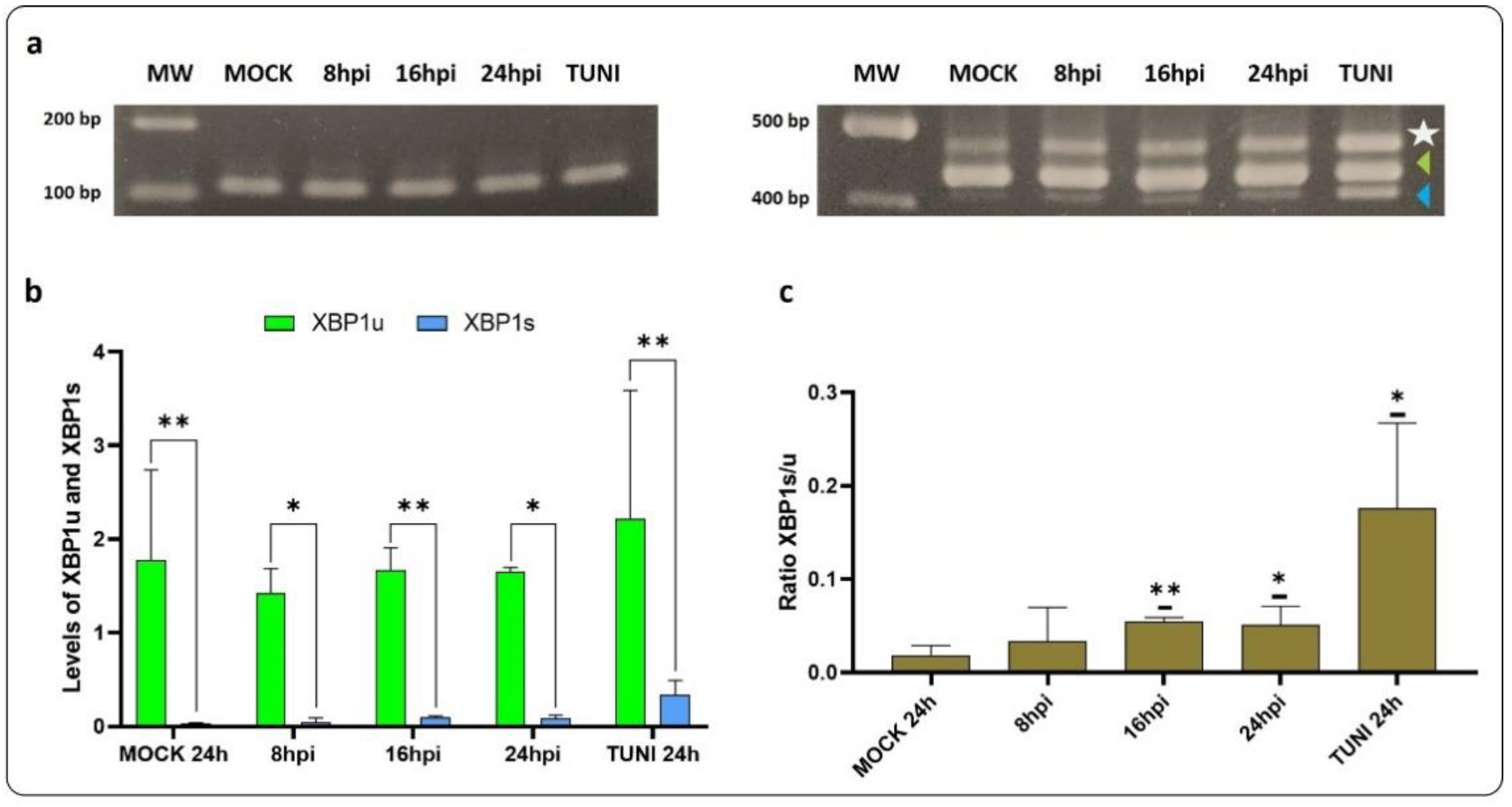 Preprints 121354 g004