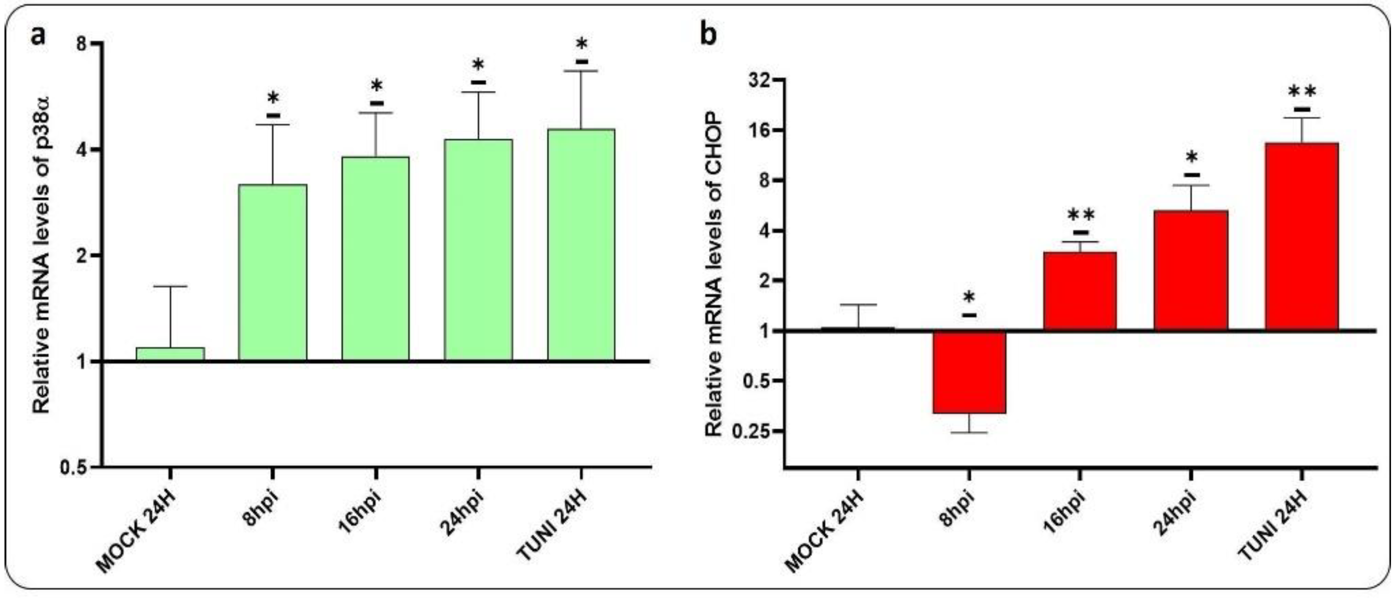 Preprints 121354 g005