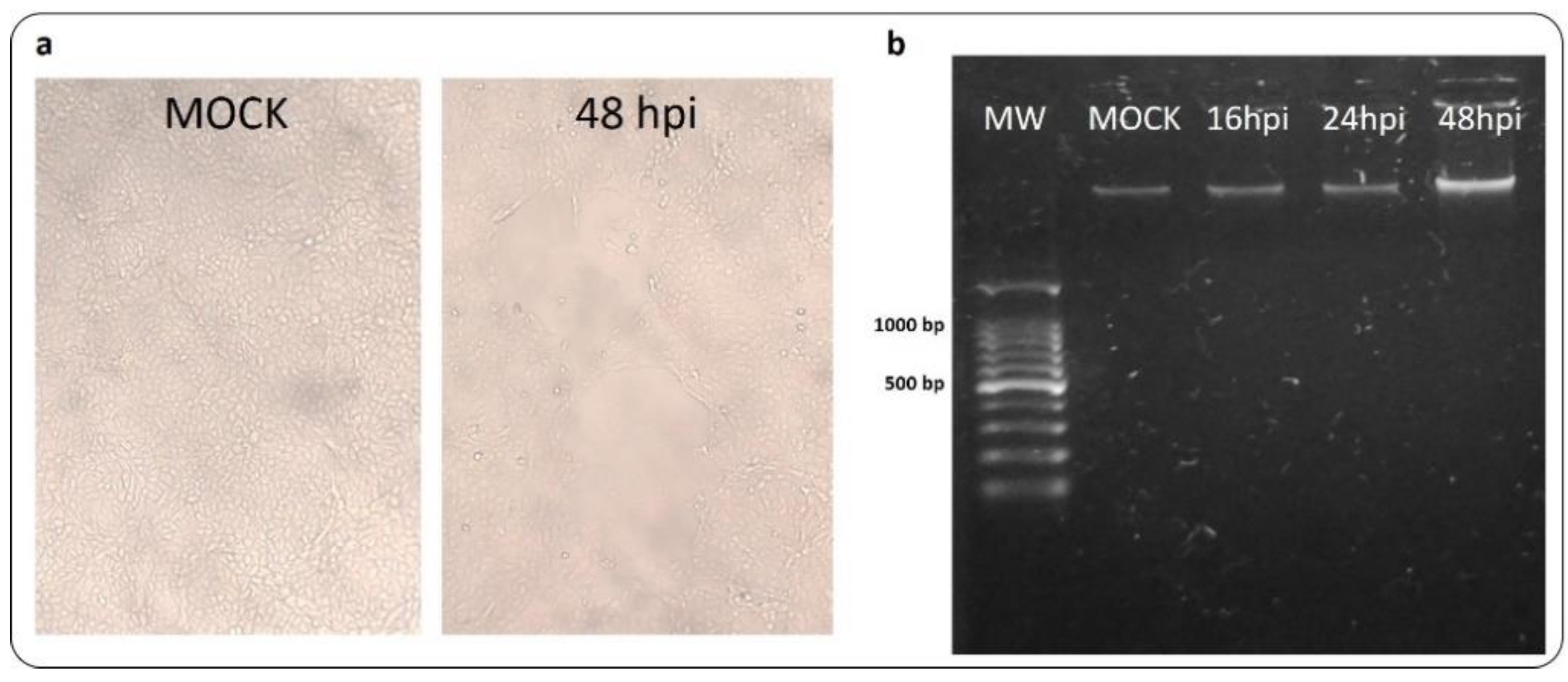 Preprints 121354 g006