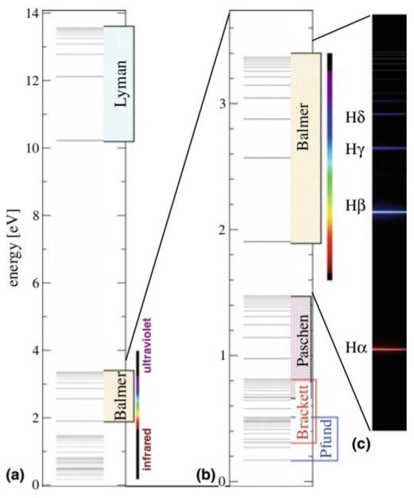 Preprints 120171 g002