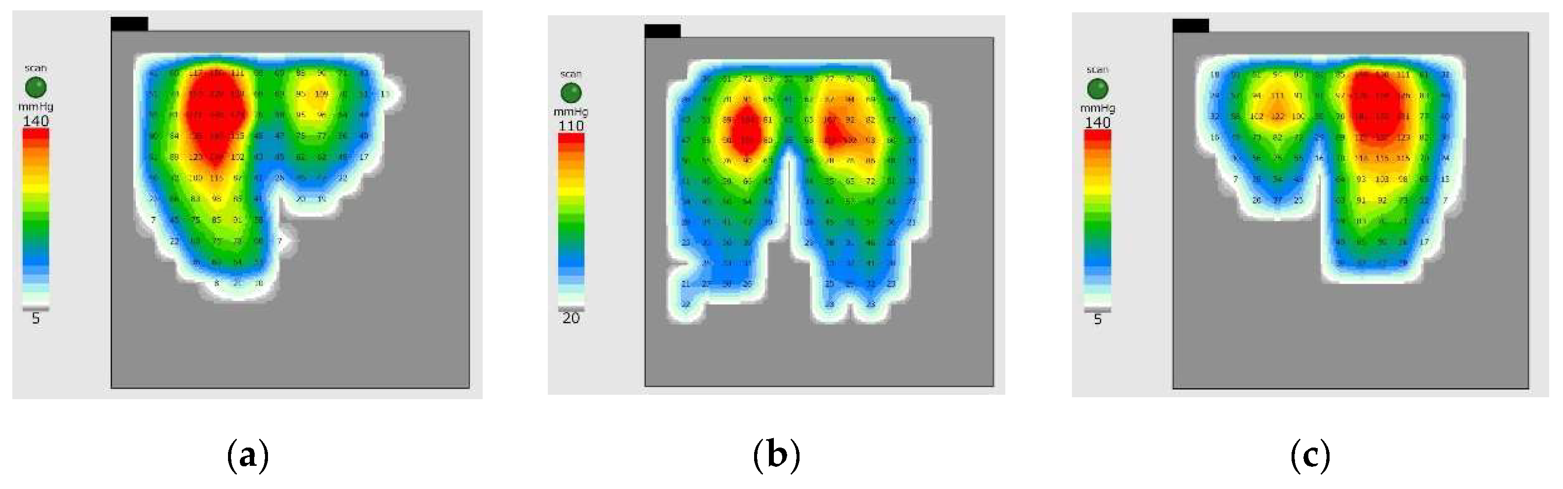 Preprints 138257 g001