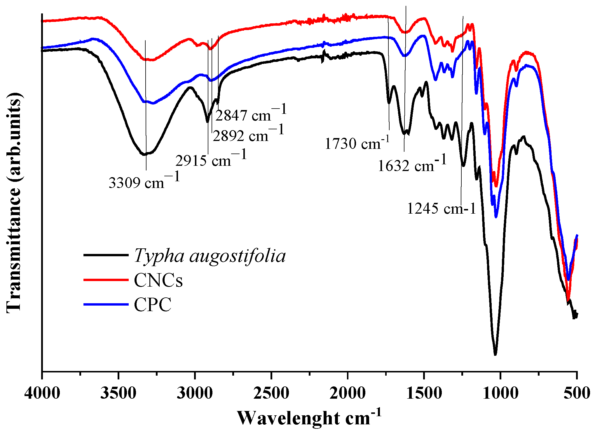 Preprints 98838 g003