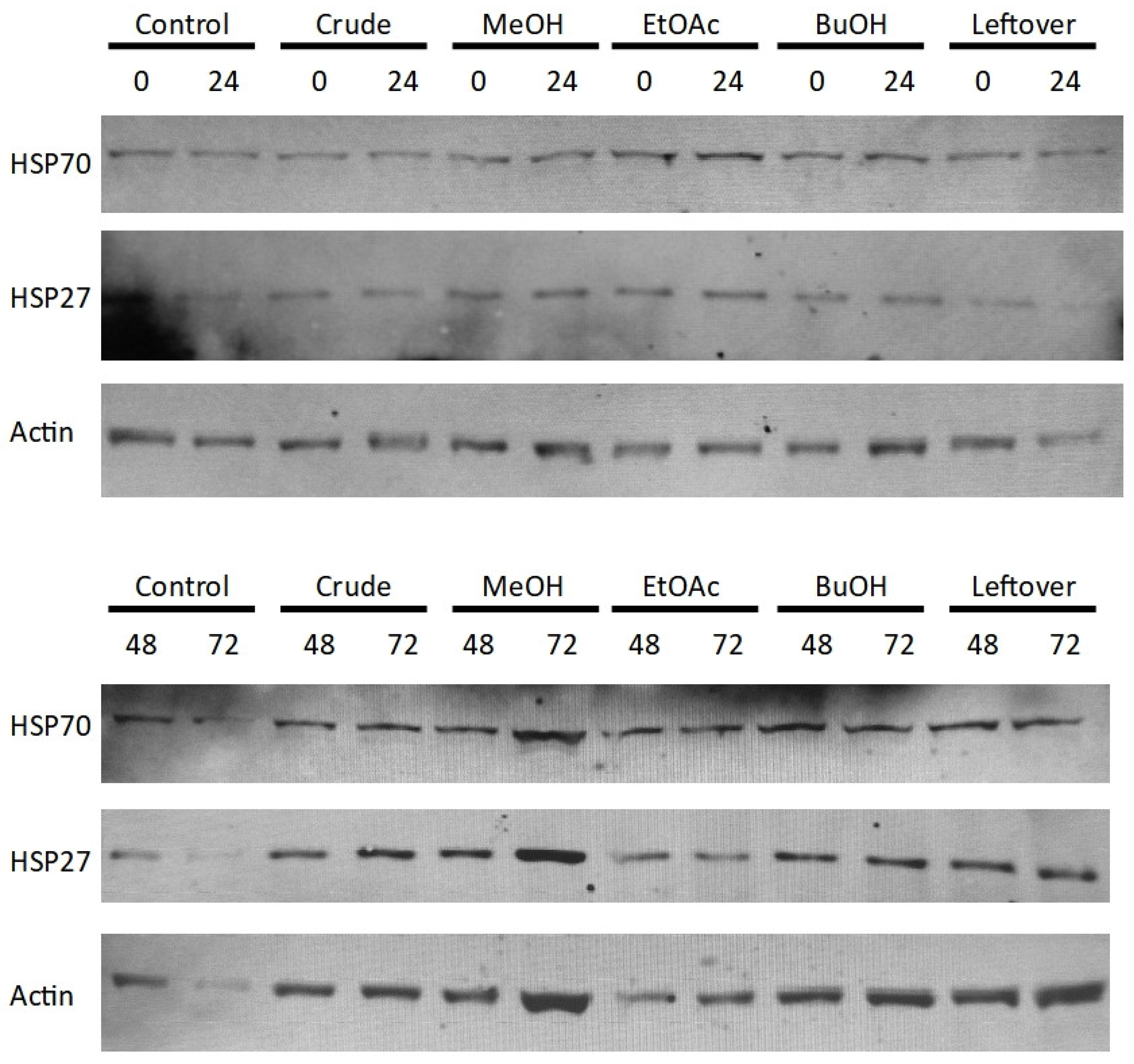 Preprints 117358 g008