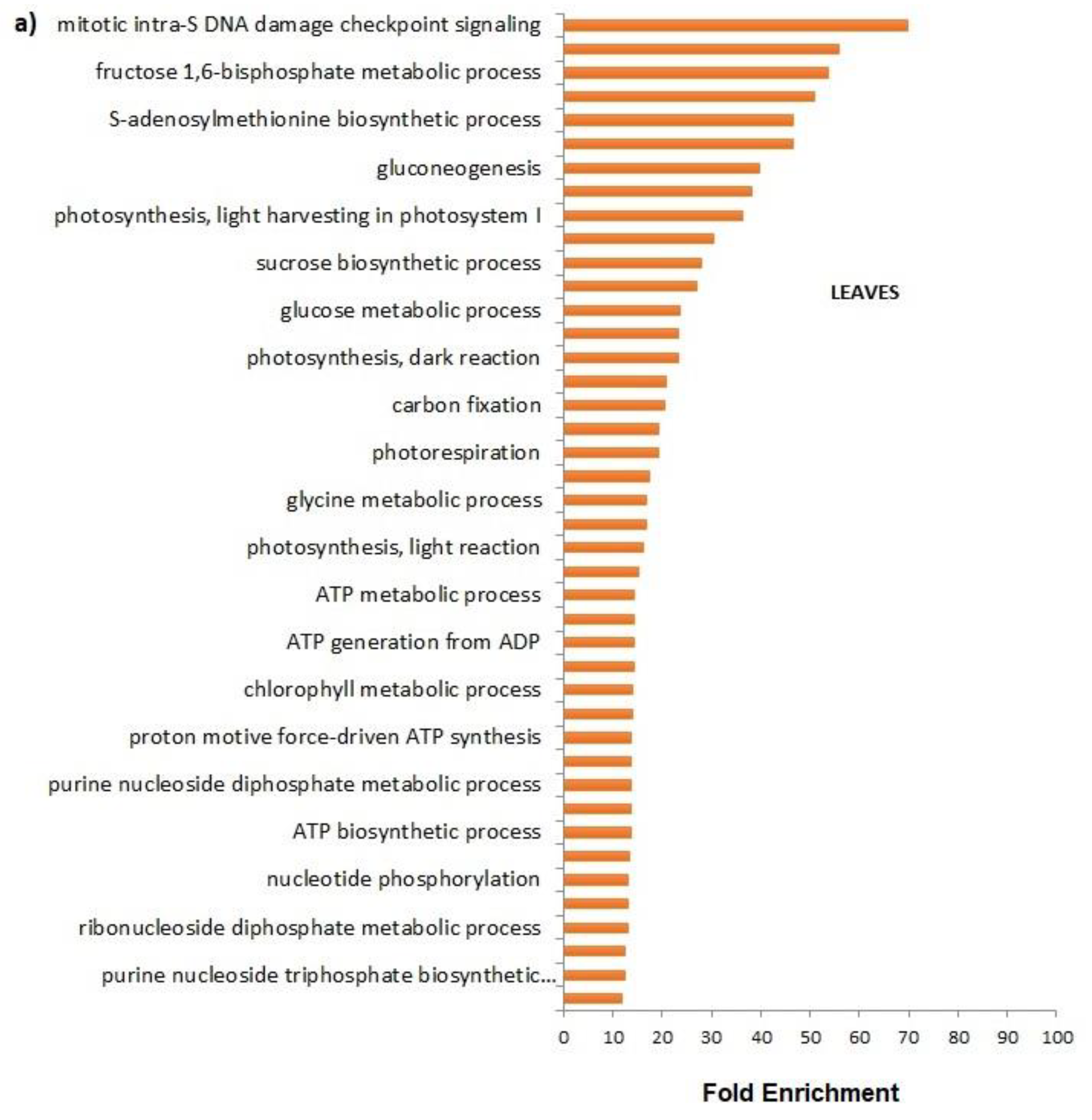 Preprints 75745 g002a