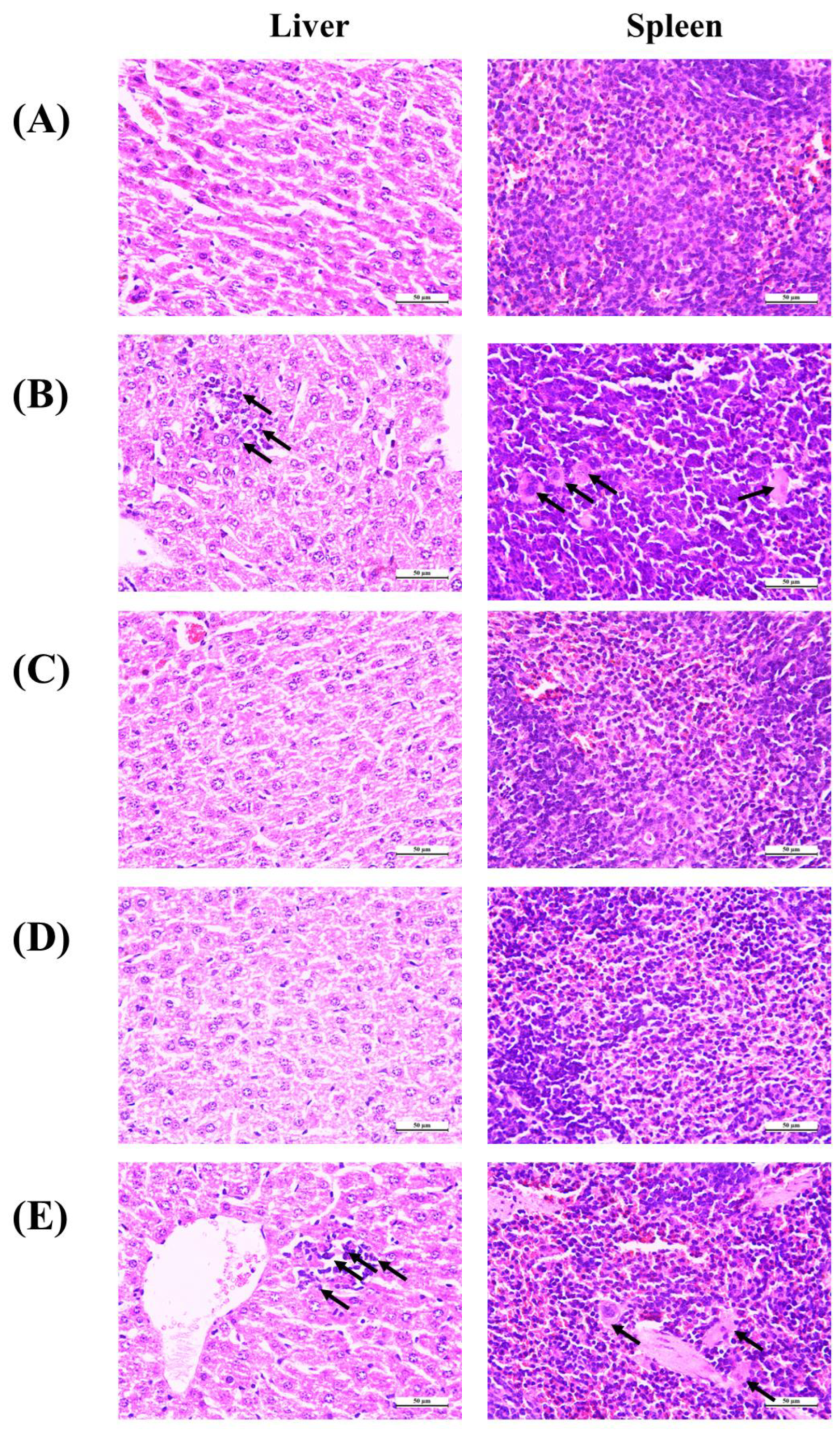 Preprints 71359 g007