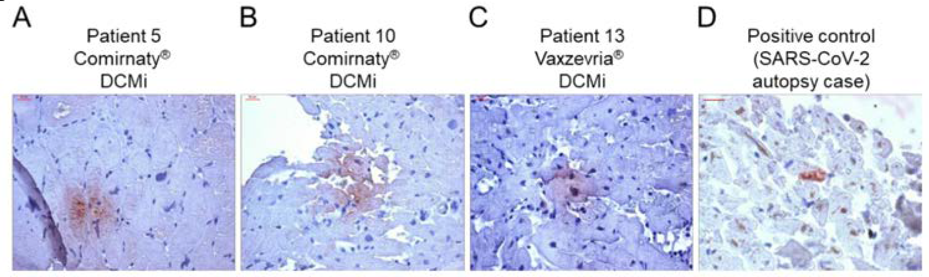 Preprints 79777 g004