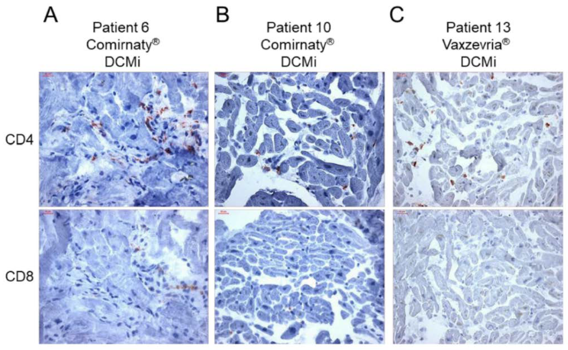 Preprints 79777 g005